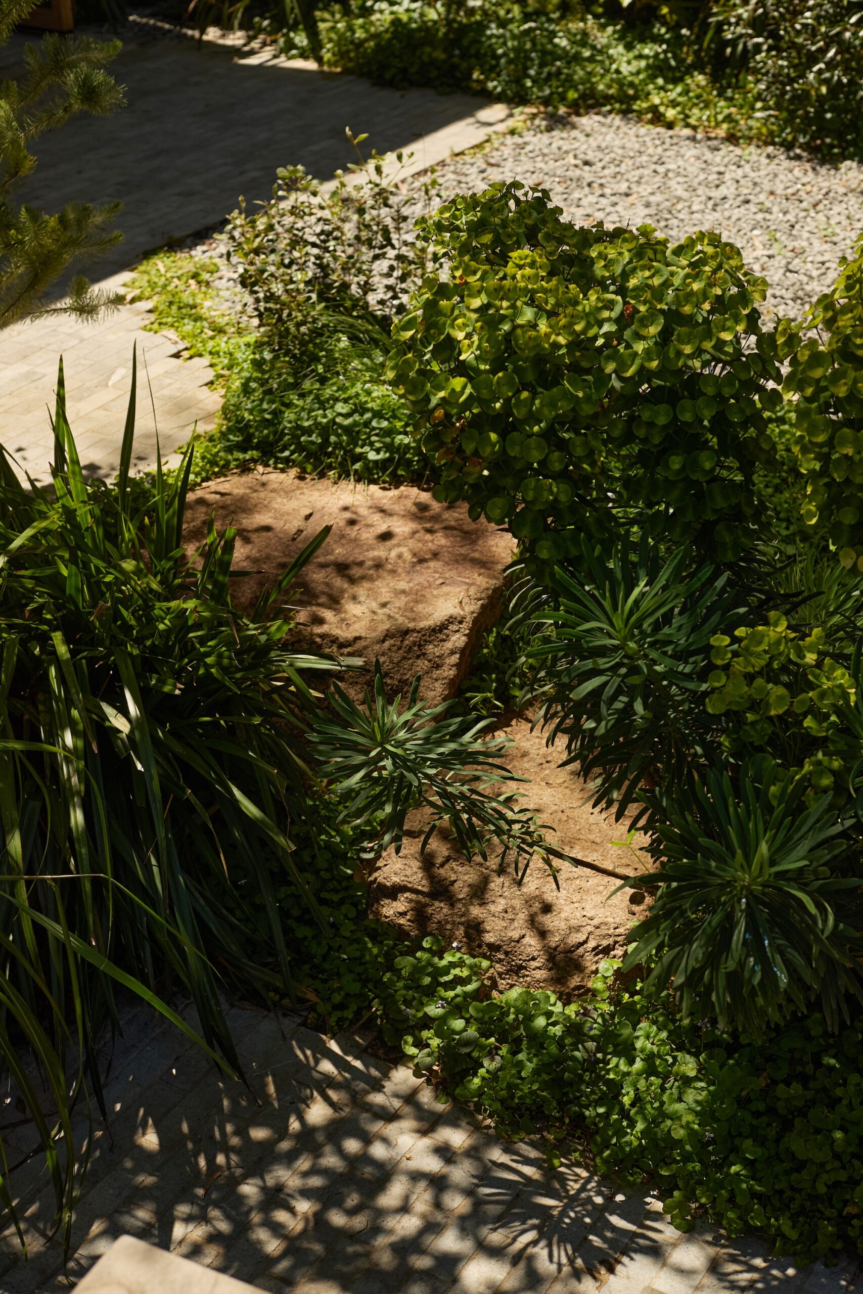 x Sculptural stone path and greenery curated by Jala