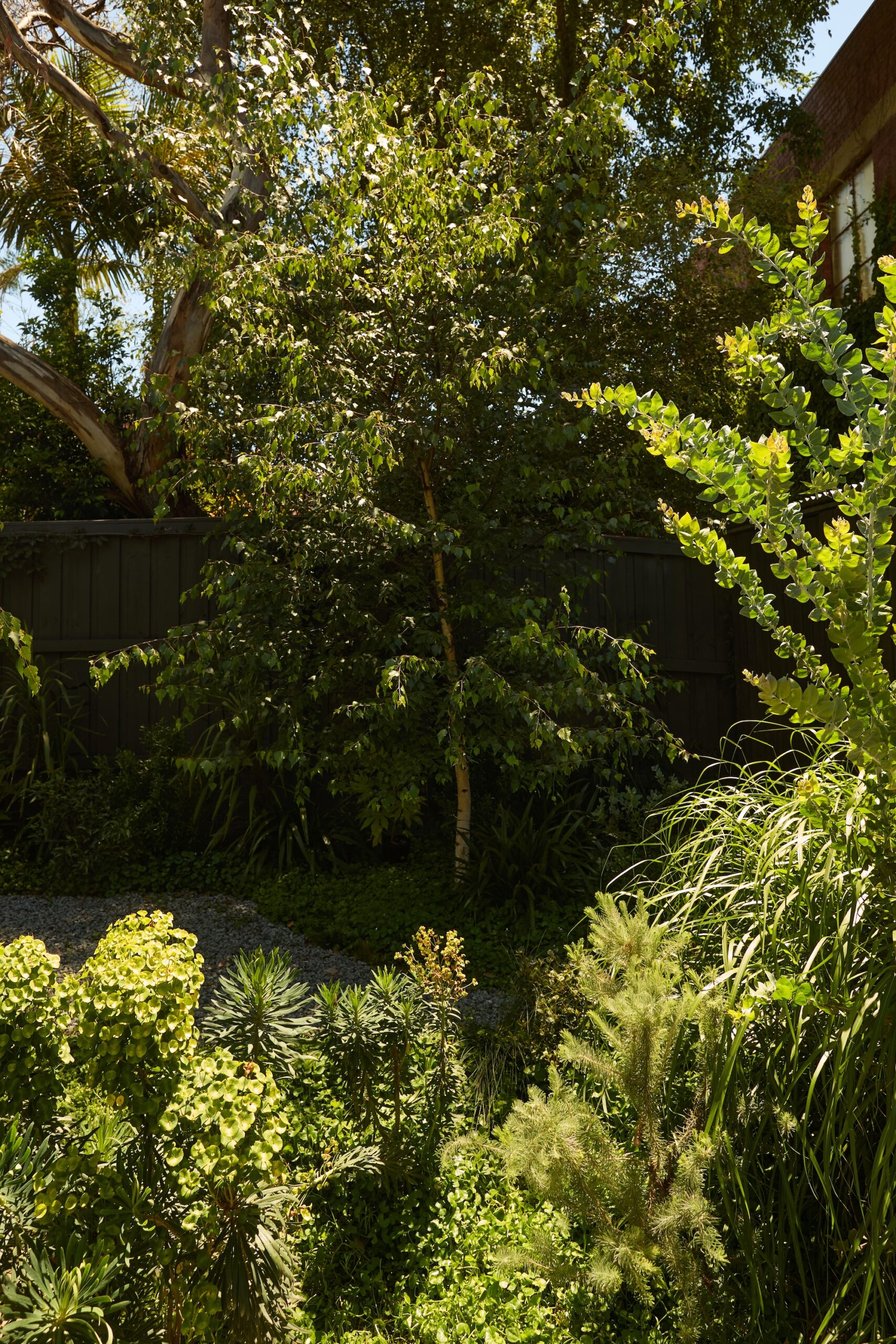 Dense textured planting palette by Jala creating a tranquil urban oasis.
