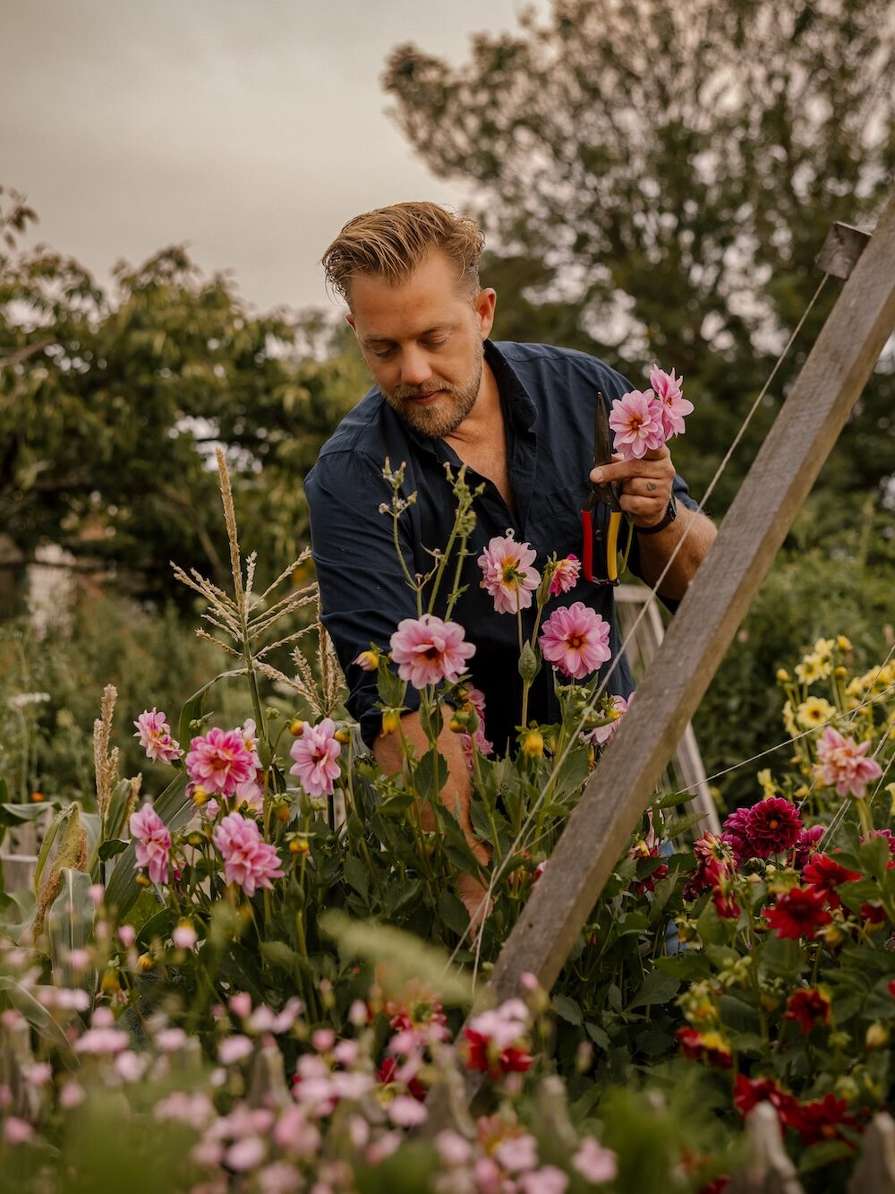 Ashley James Ashley James, garden writer for Sage Journal