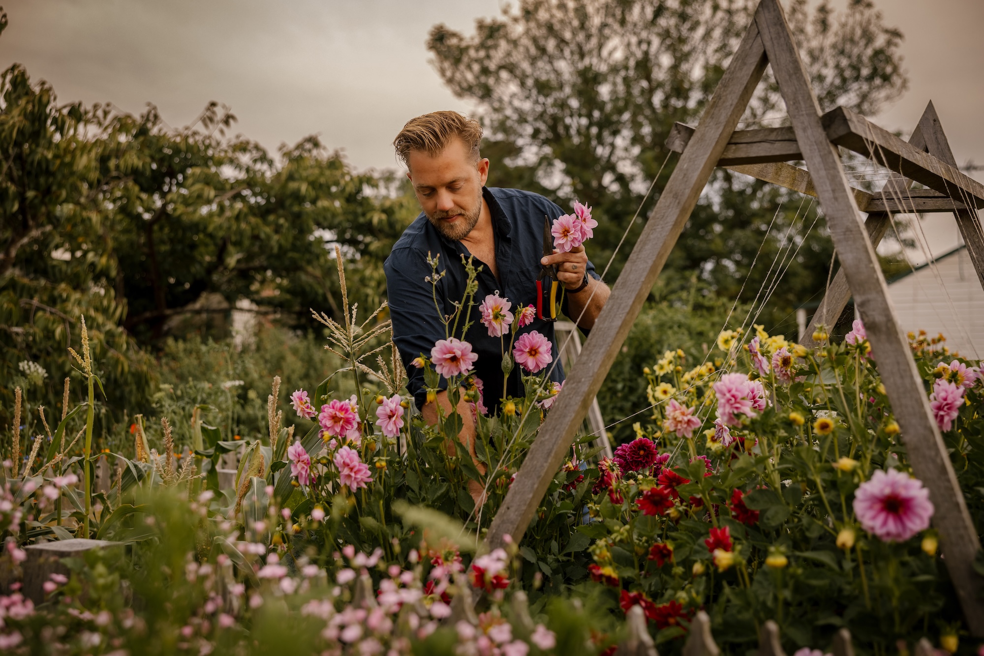 Garden designer Ashley James tending his rural flower garden in Victoria Australia.
