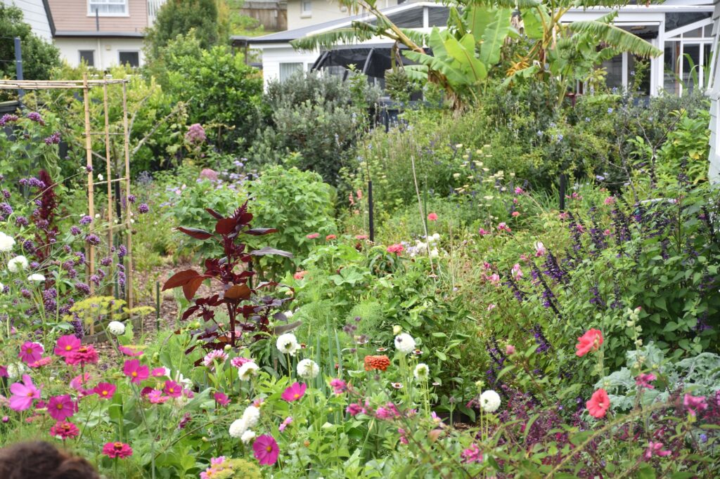 Layered seasonal flowers creating depth and texture at Paradise Botanica