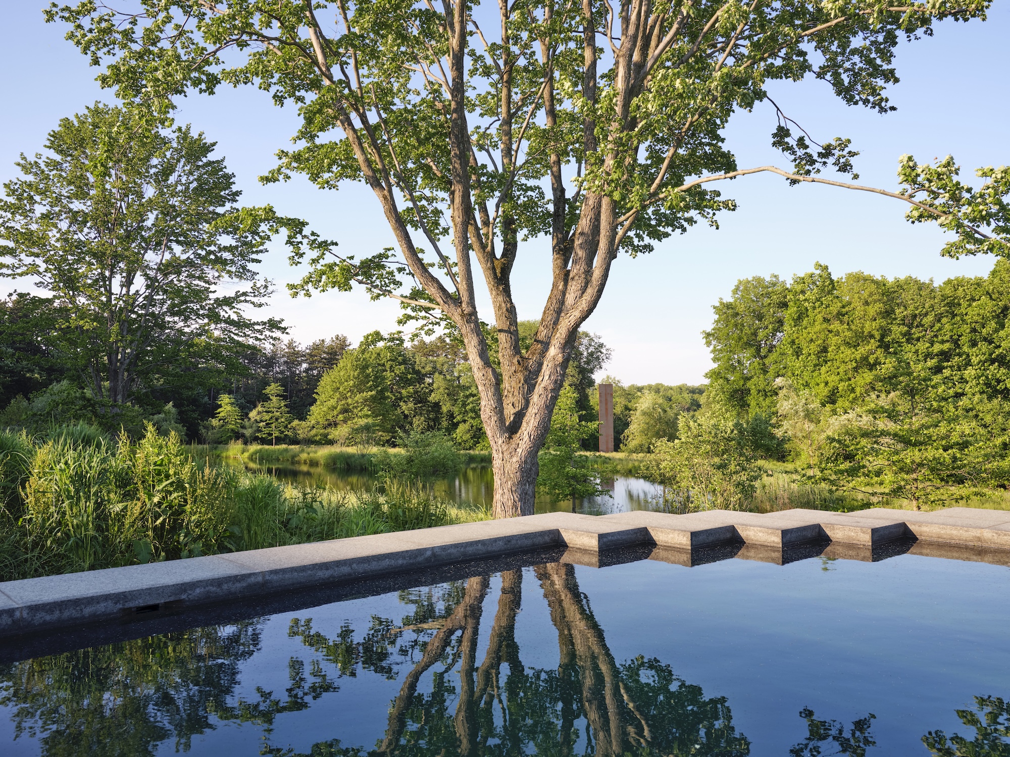 Still water reflecting trees at Rowdy Meadows, designed by Reed Hilderbrand in Ohio