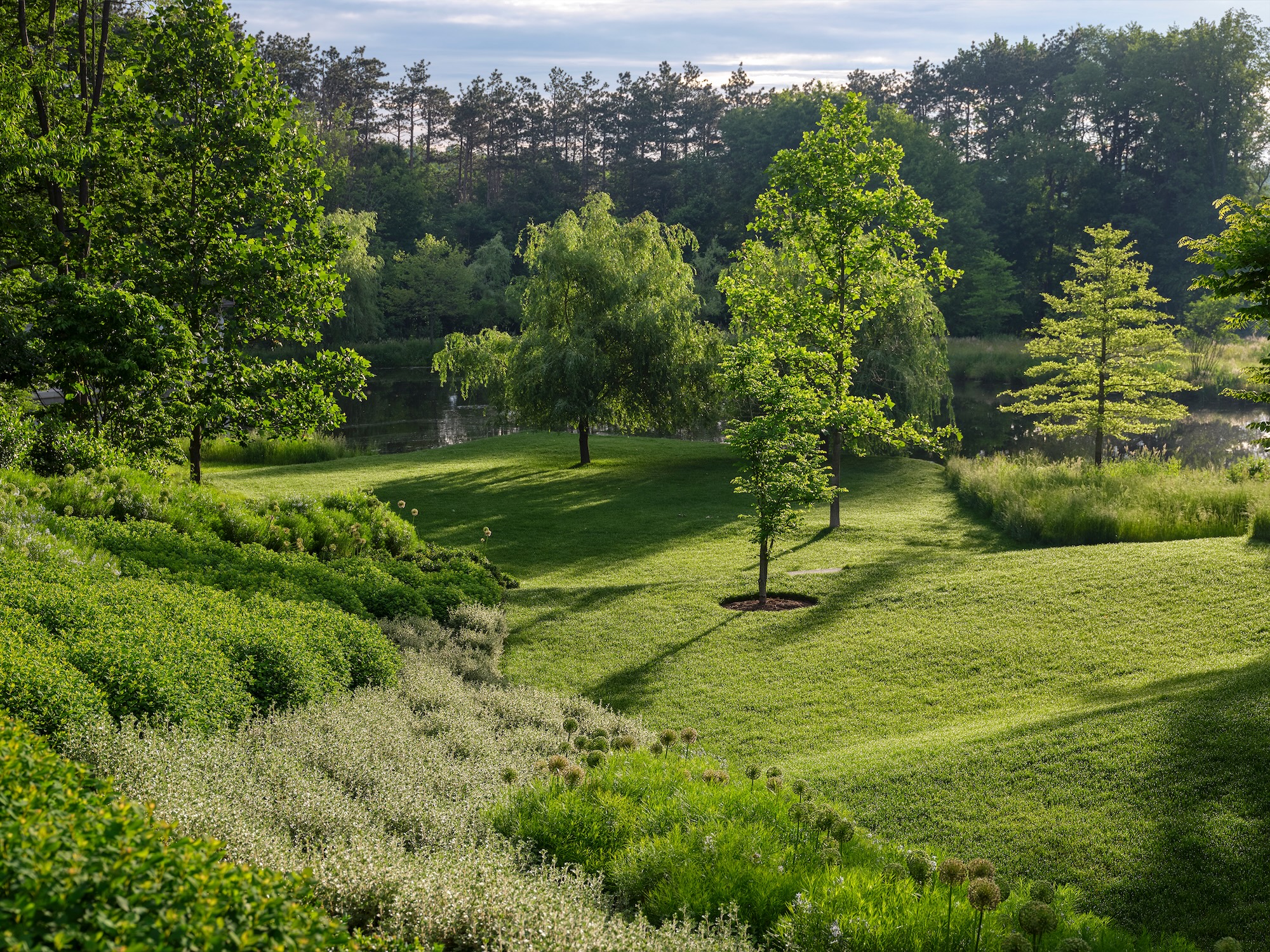 Expansive meadow landscape at Rowdy Meadows in Ohio