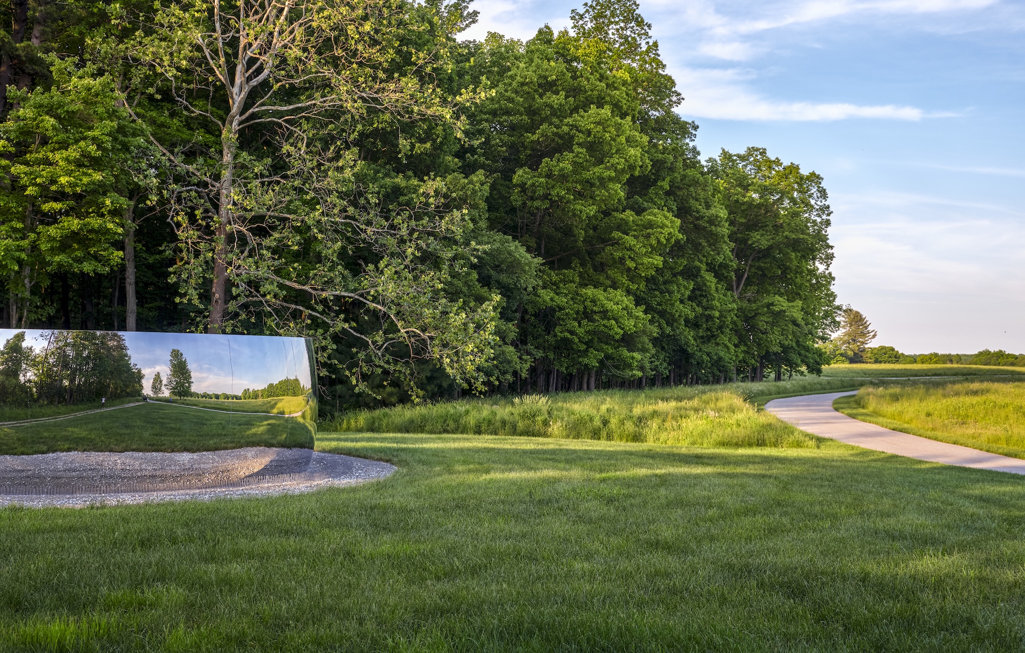 Transition from forest to meadow at Rowdy Meadows designed by Reed Hilderbrand in Ohio