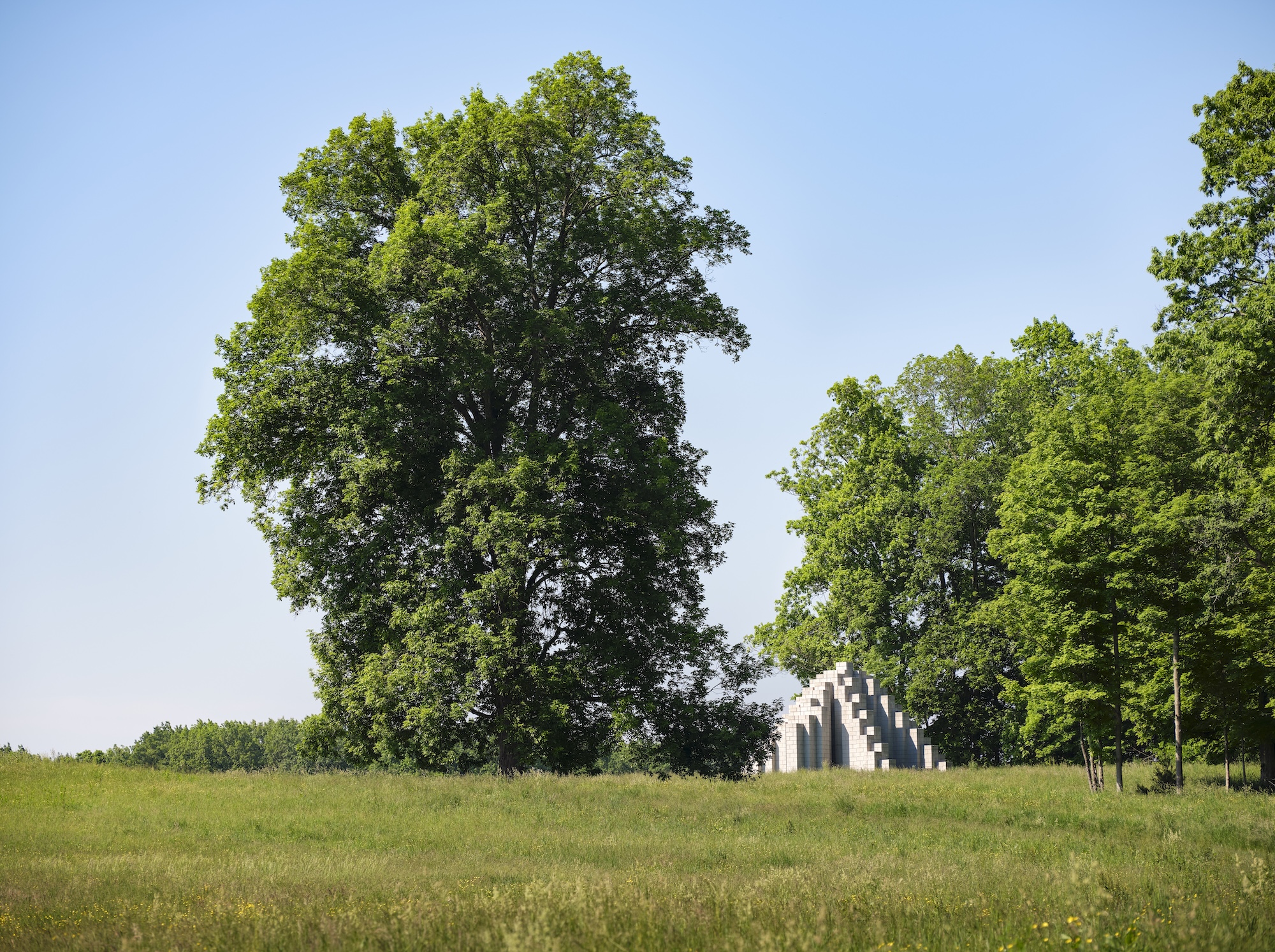 Framed axial view through trees at Rowdy Meadows landscape in Ohio