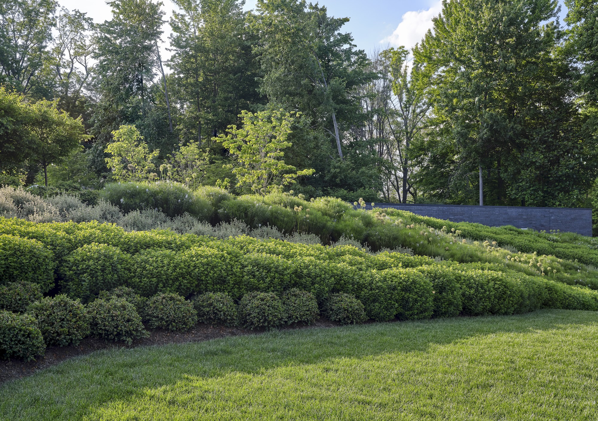 Layered shrub beds within open lawn at Rowdy Meadows, designed by Reed Hilderbrand