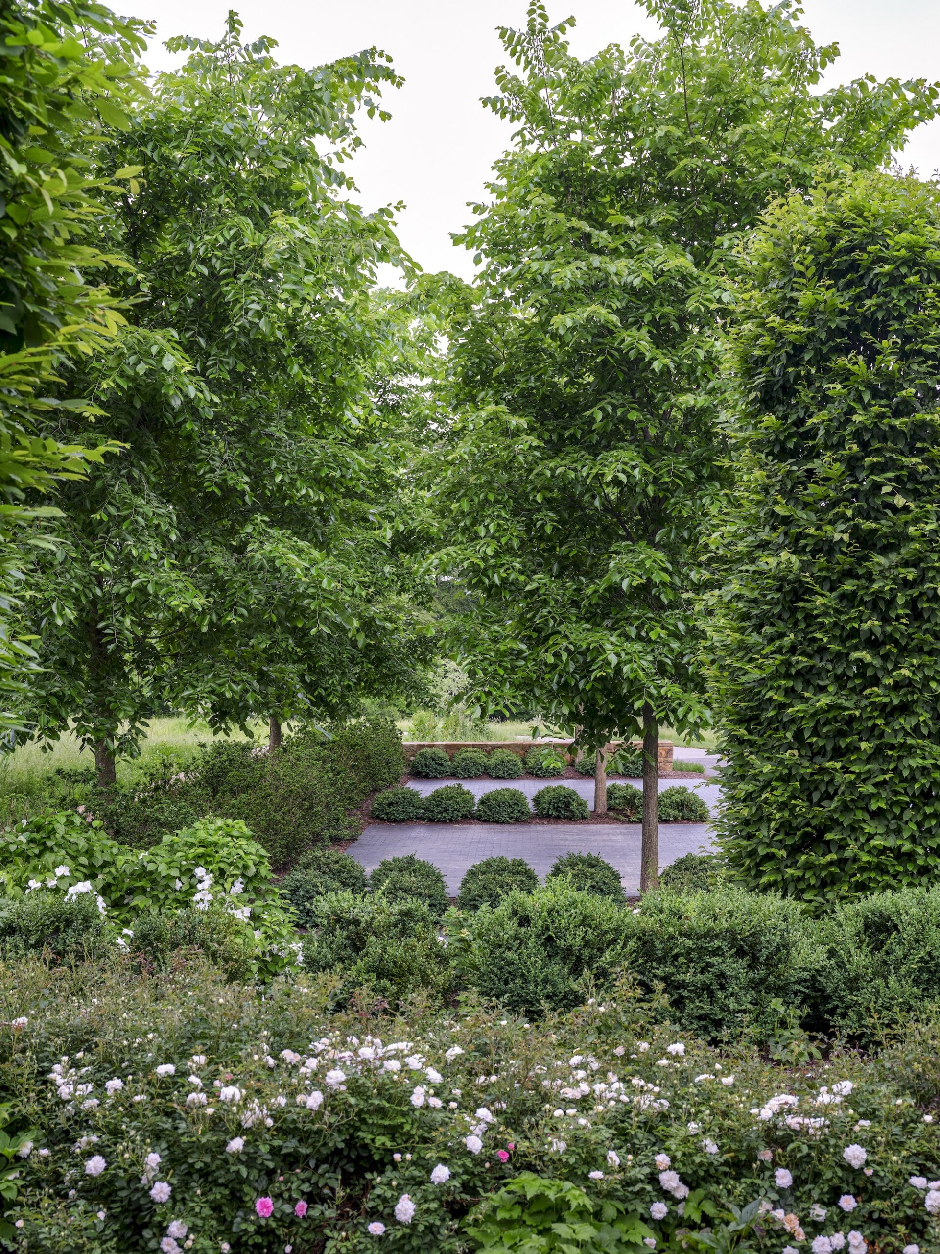 Clipped hedge enclosure within Rowdy Meadows landscape by Reed Hilderbrand in Ohio