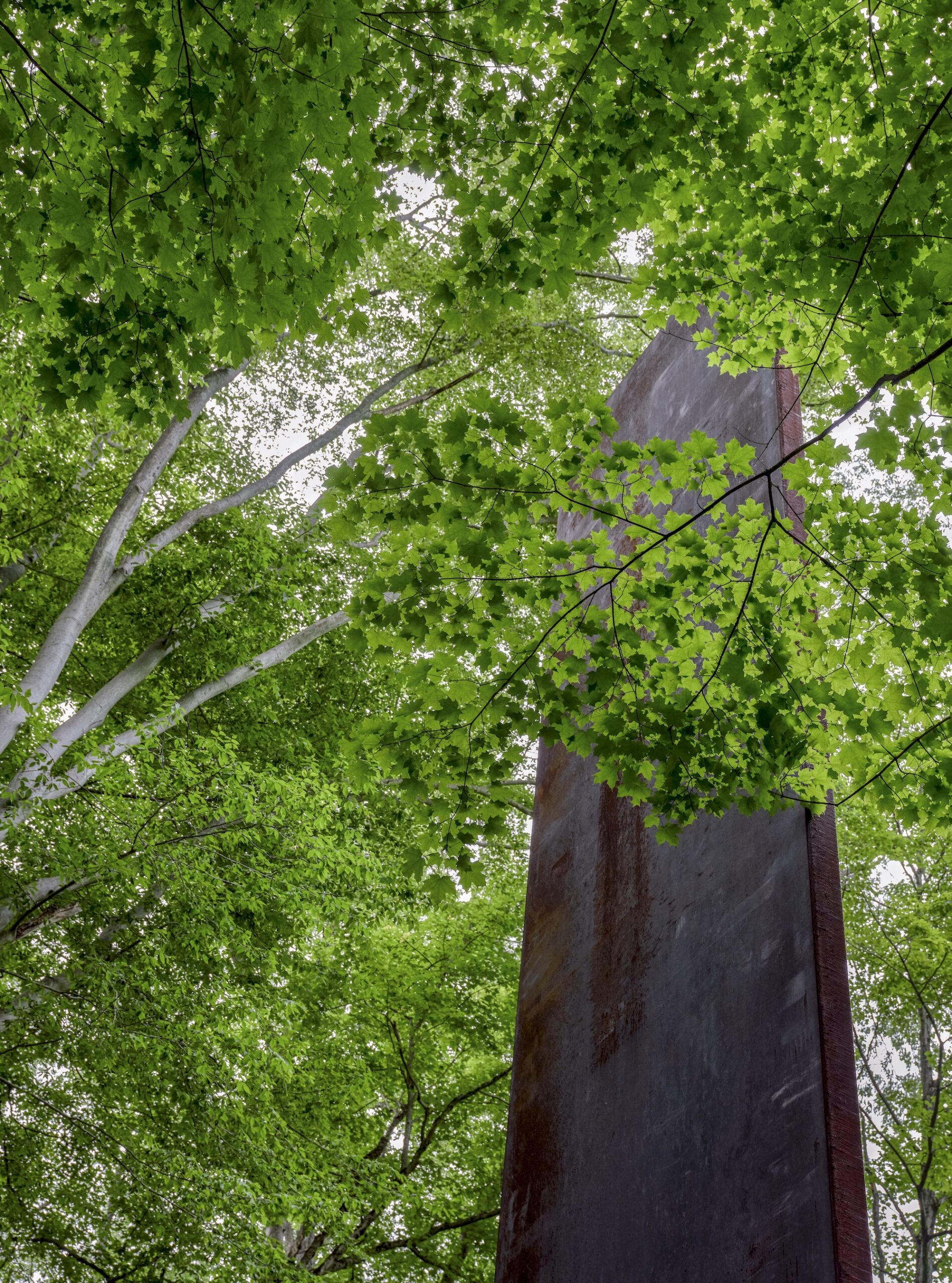 Steel sculptural panel framing trees at Rowdy Meadows landscape in Ohio