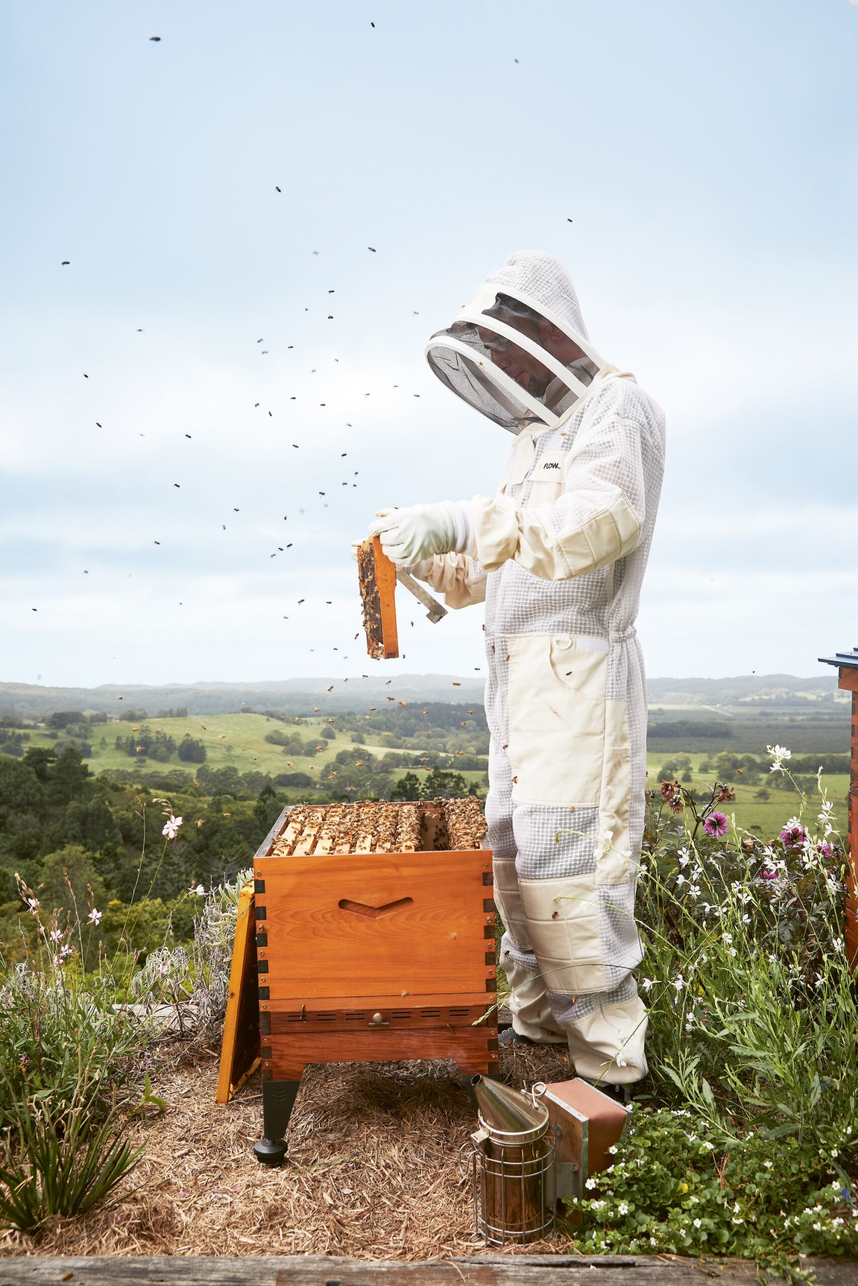Image from Flow Hive's Book of Bees & Beekeeping by Cedar & Stuart Anderson