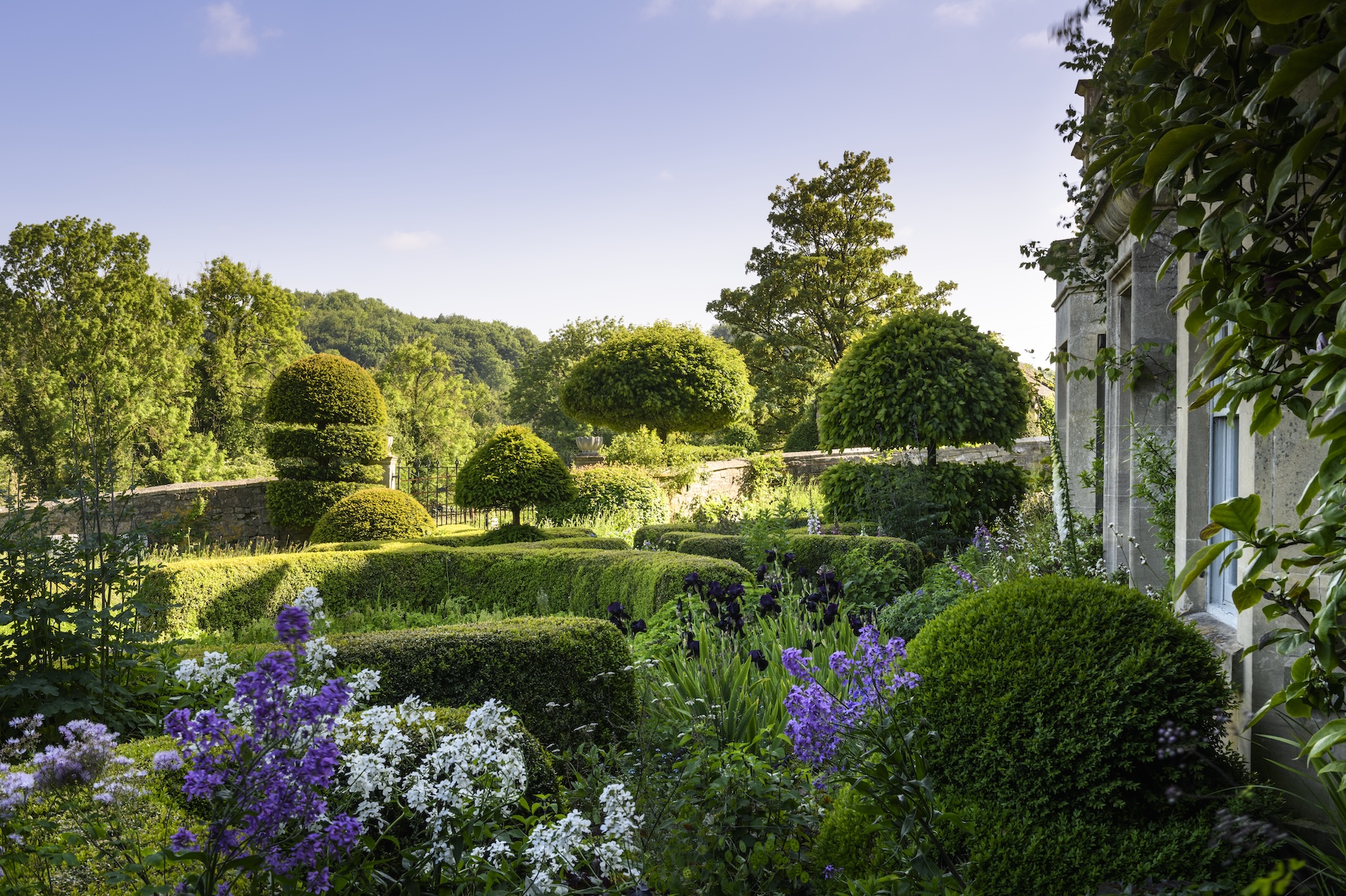 Formal Garden Borders at Sunset – Caisson Gardens Clipped topiary and flowering borders in evening light