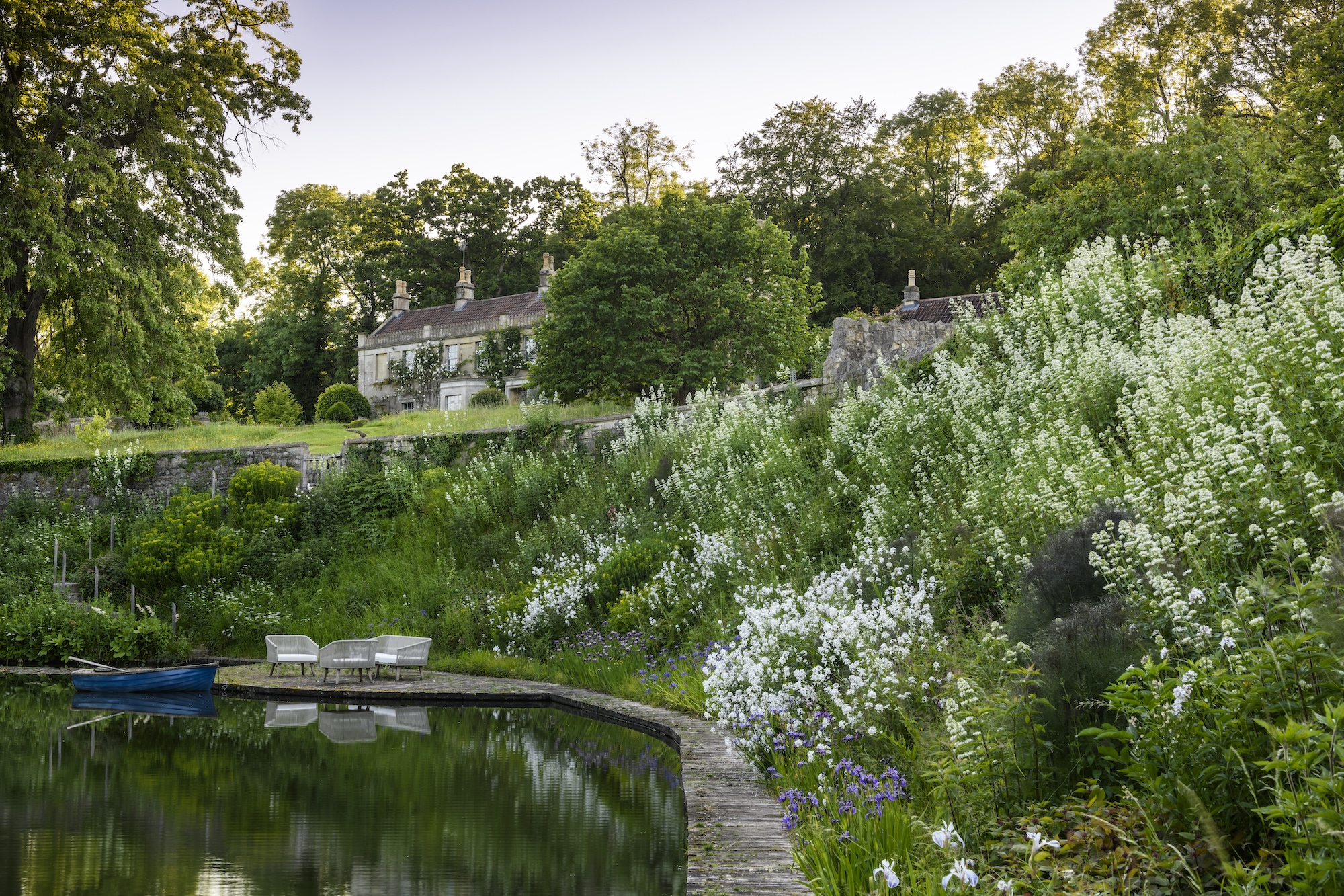 Giant camas, Iris and Water mint planting beside reflective lake at Caisson Gardens in Bath, UK