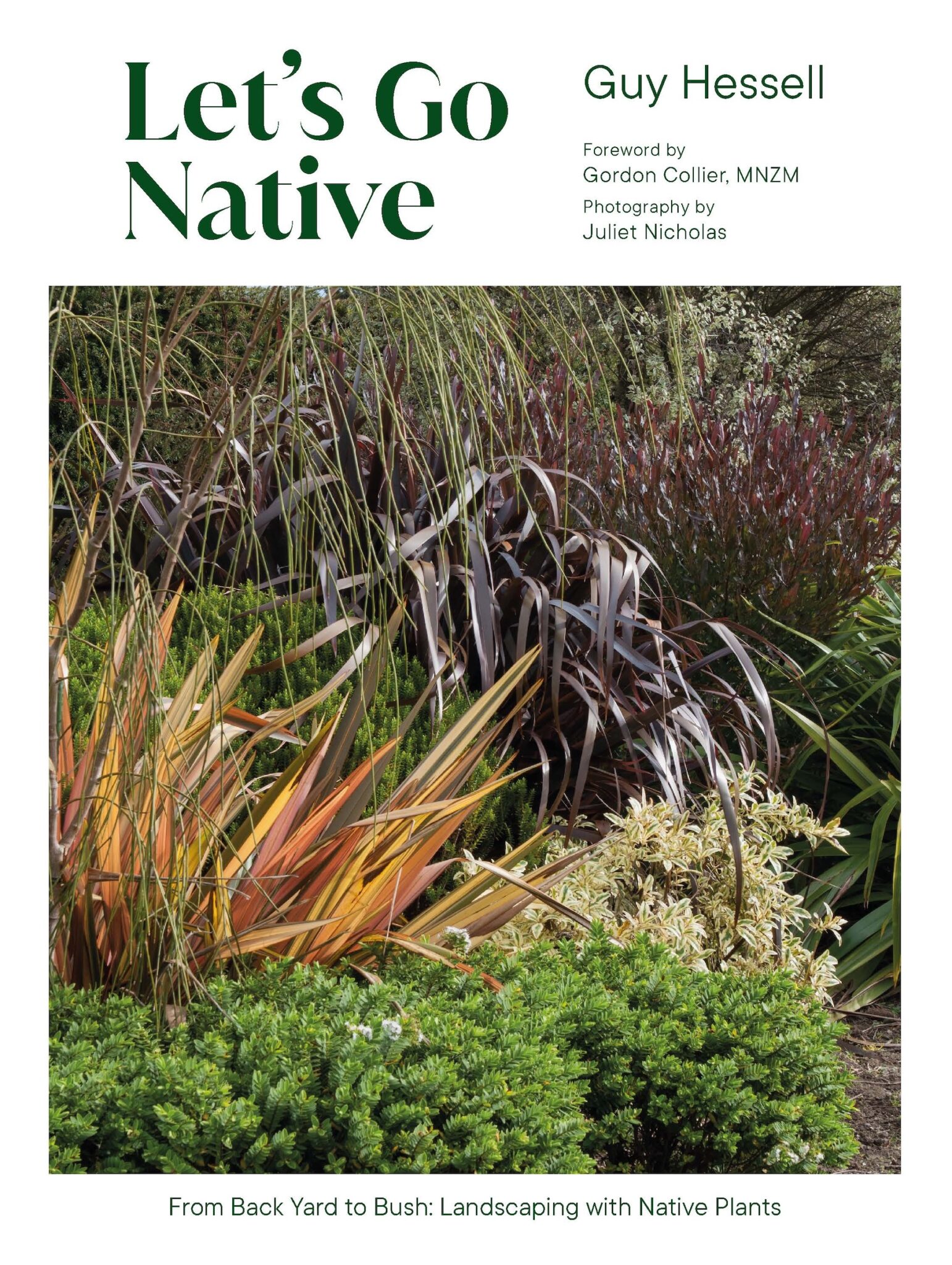 How to design a small garden with NZ native plants | Sage Journal
