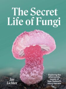 The Secret Life of Fungi by Jay Lichter