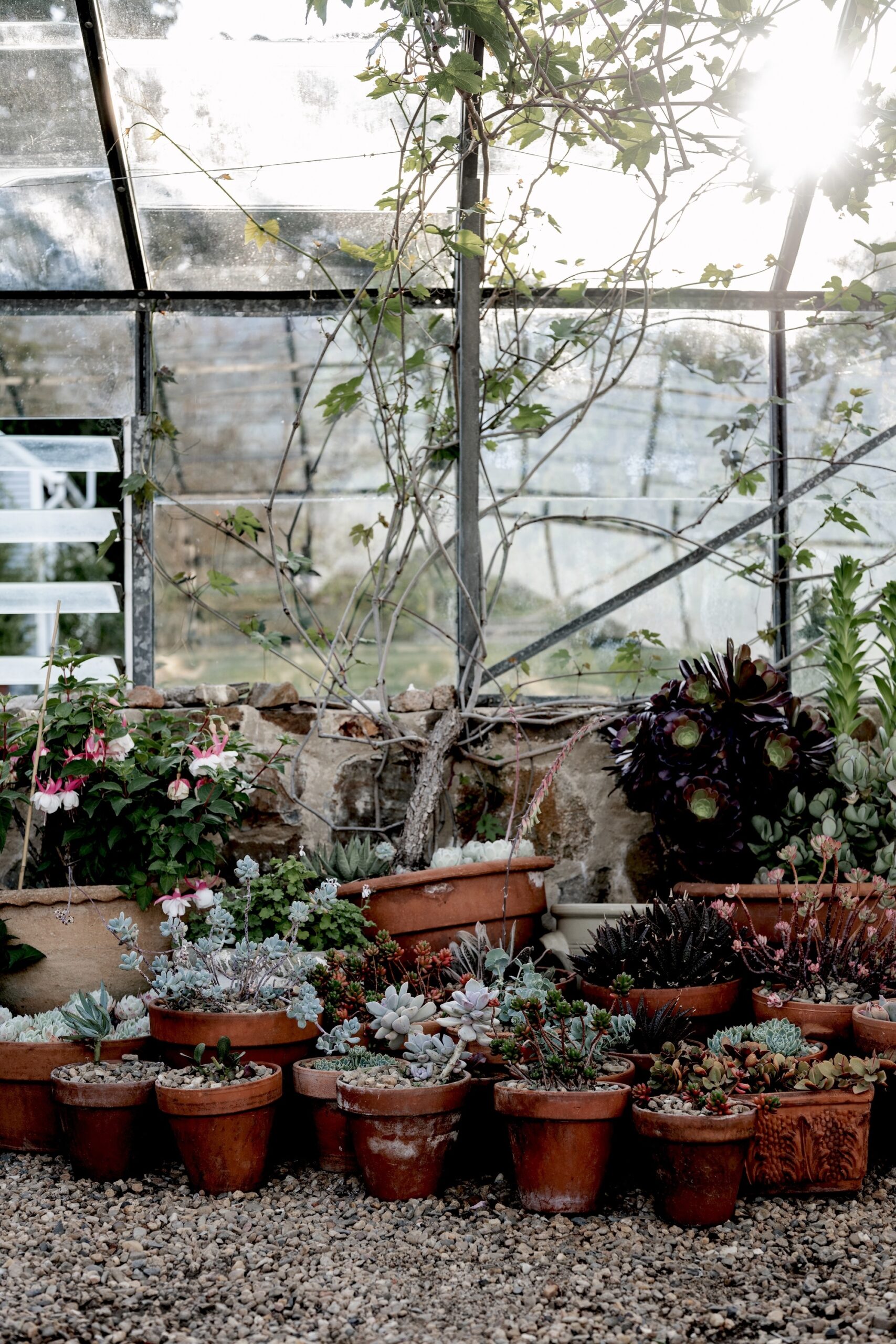 The Garden Room by Hannah Puechmarin