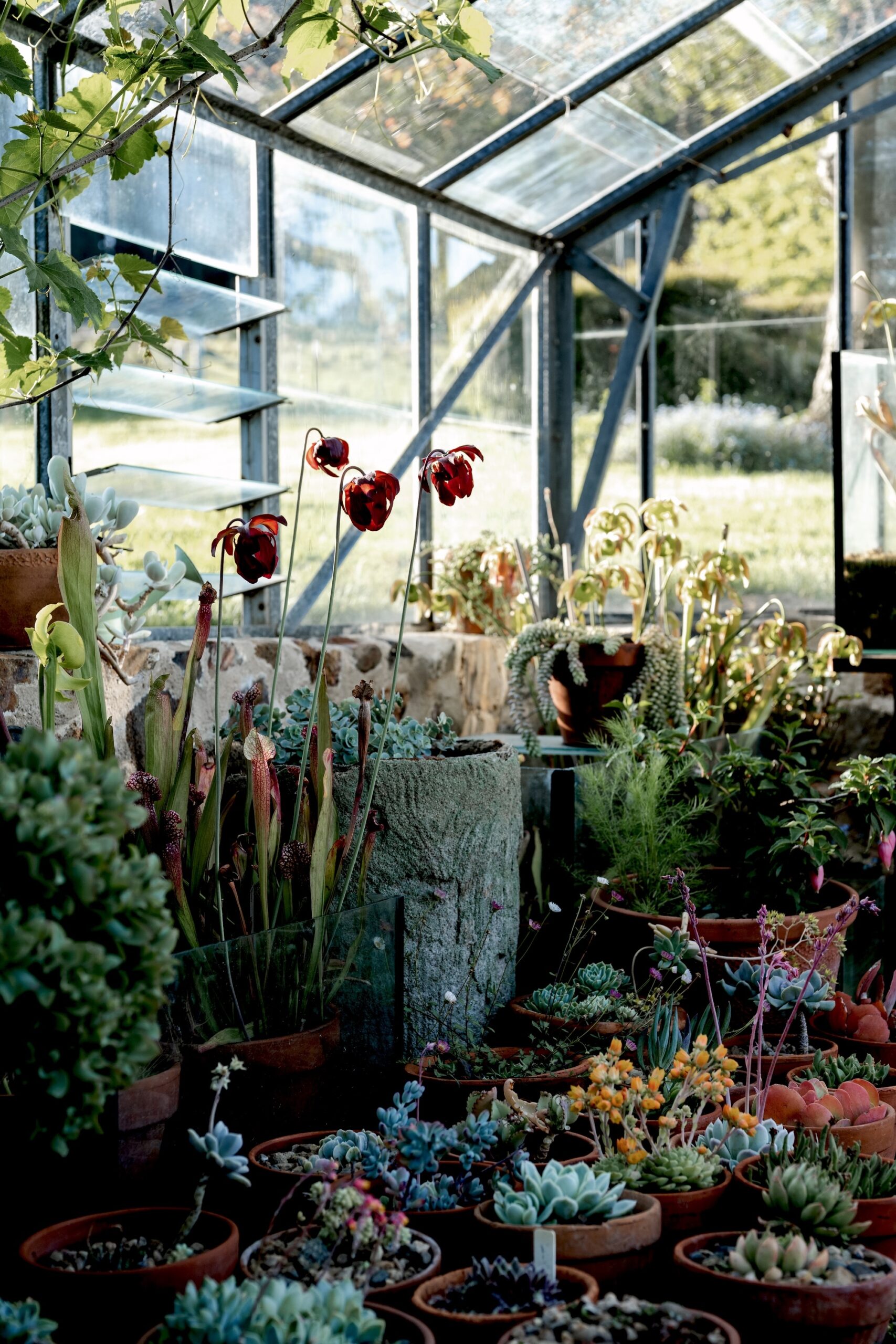The Garden Room by Hannah Puechmarin