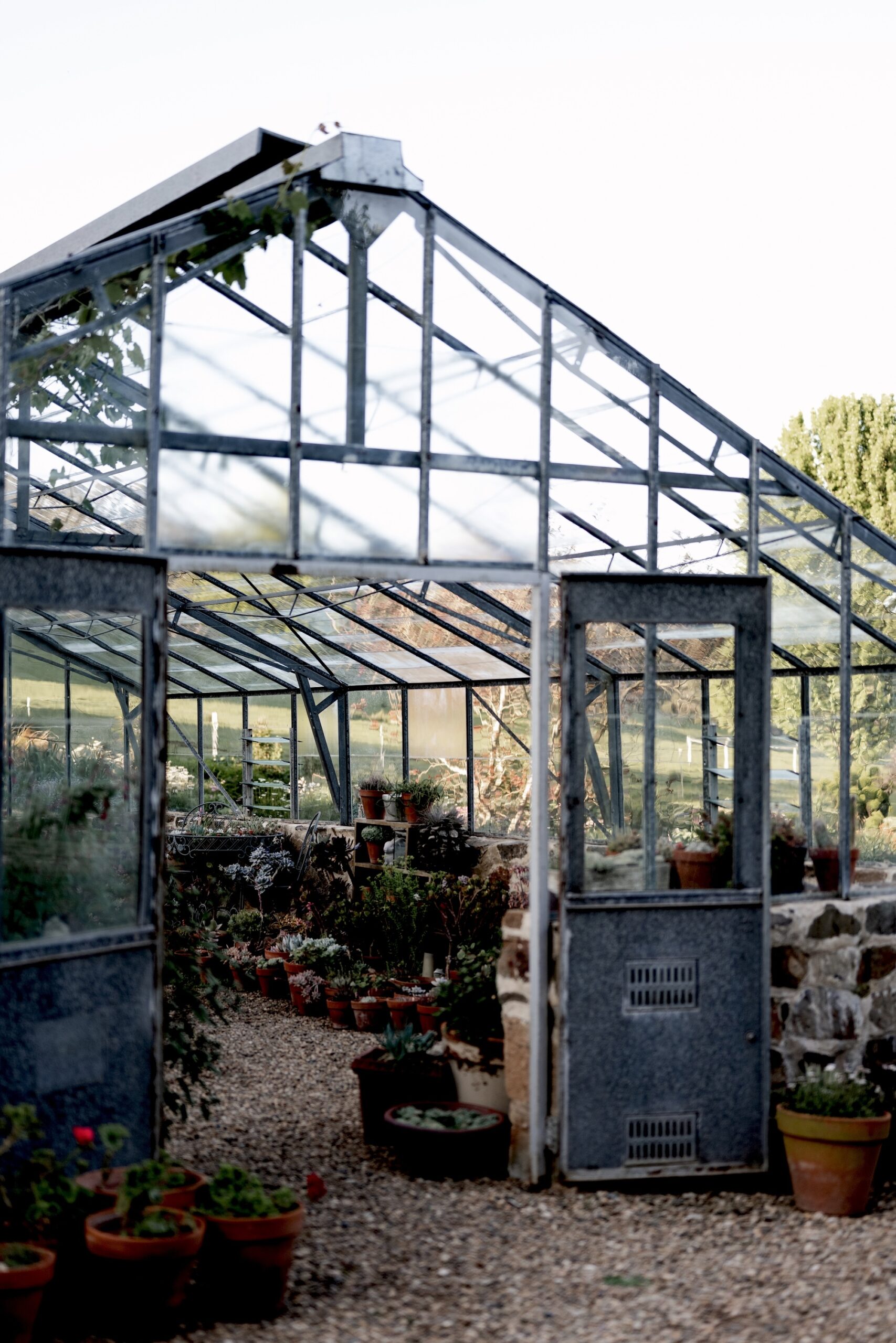 The Garden Room by Hannah Puechmarin