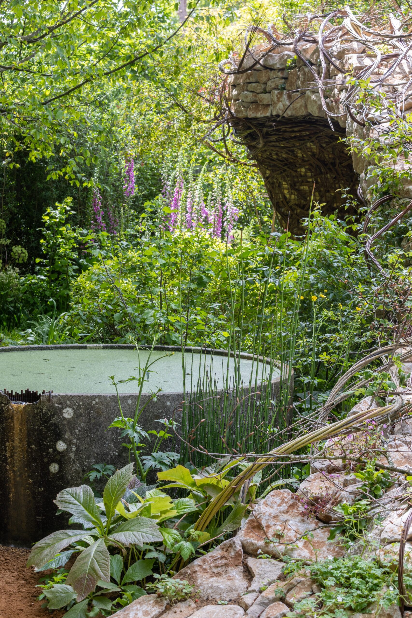 Reflective water feature within naturalistic planting - show garden design by Sarah Eberle 1 Circular water element surrounded by woodland-inspired planting in The Campaign to Protect Rural England Garden.