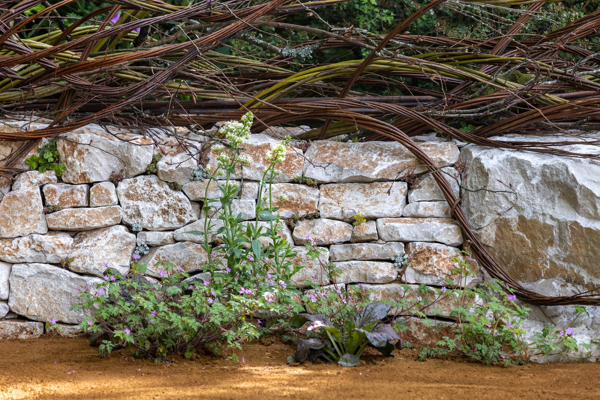 1 Dry stone wall surrounded by pollinator-friendly planting designed by Sarah Eberle