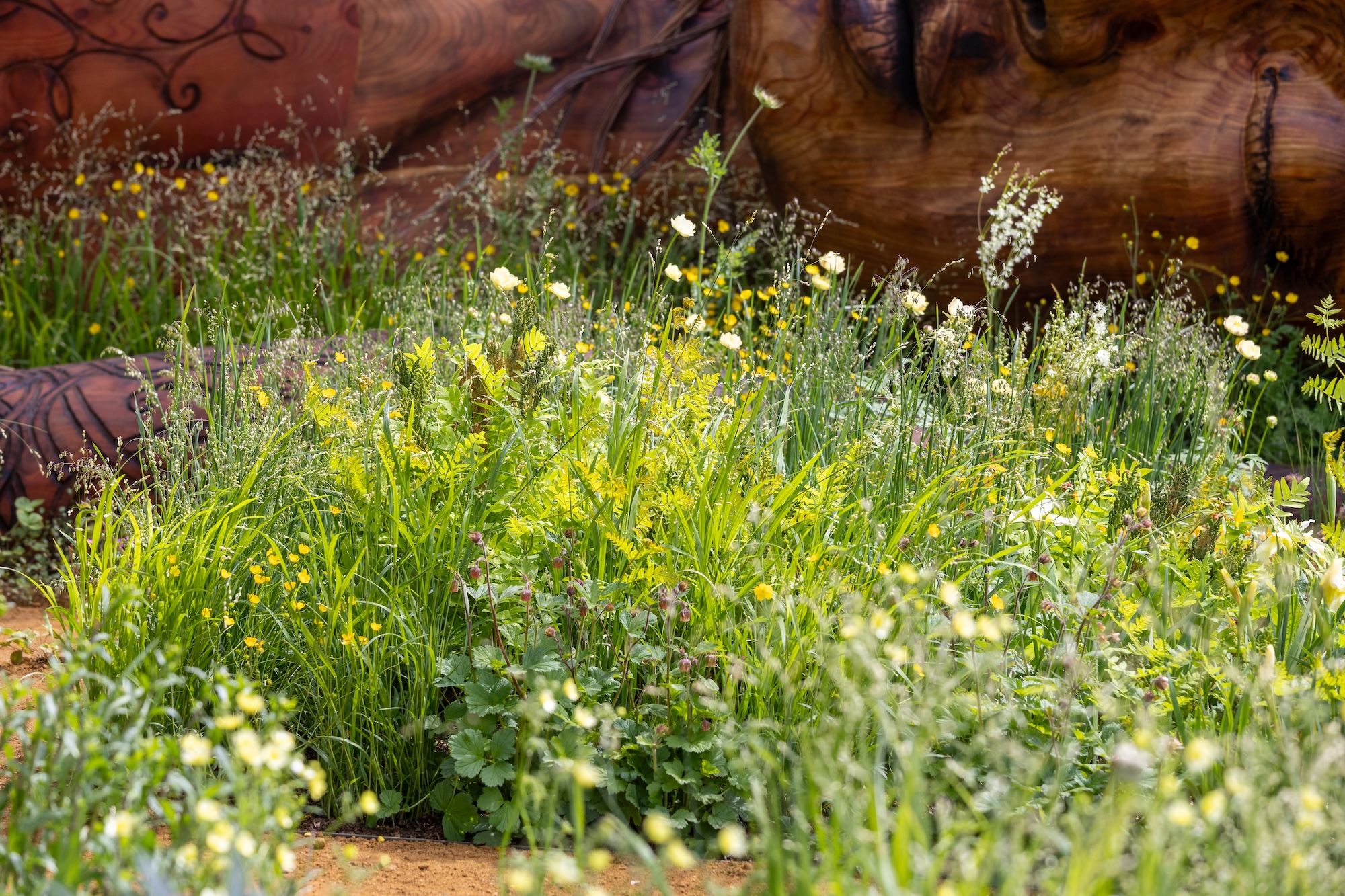 1 Colourful seasonal planting combining grasses and wildflowers in a naturalistic show garden setting.