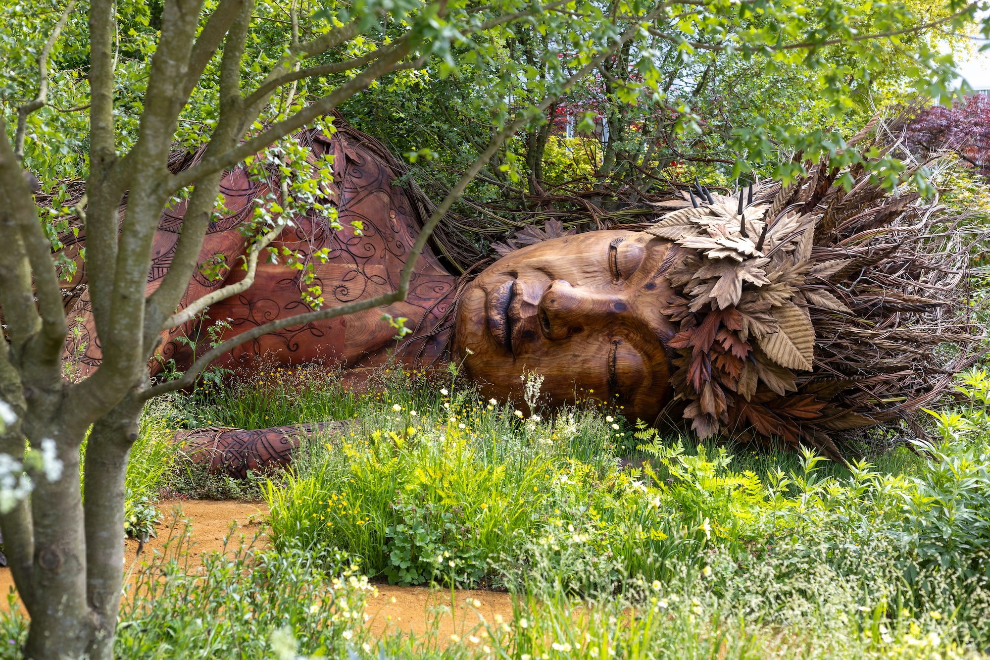 1 Flowing meadow grasses and seasonal flowers in The Campaign to Protect Rural England Garden at RHS Chelsea Flower Show.