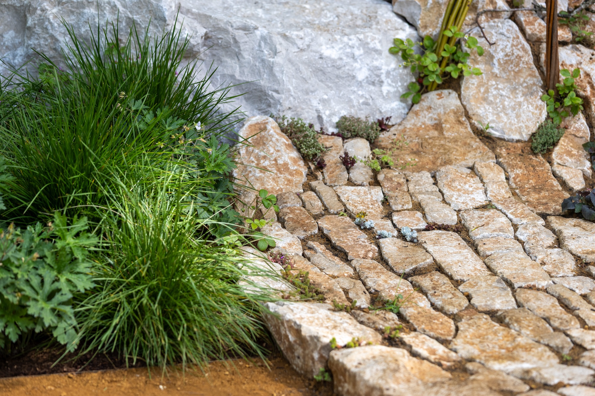 1 Rustic stone hardscaping surrounded by ornamental grasses and planting at The Campaign to Protect Rural England Garden, RHS CFS.