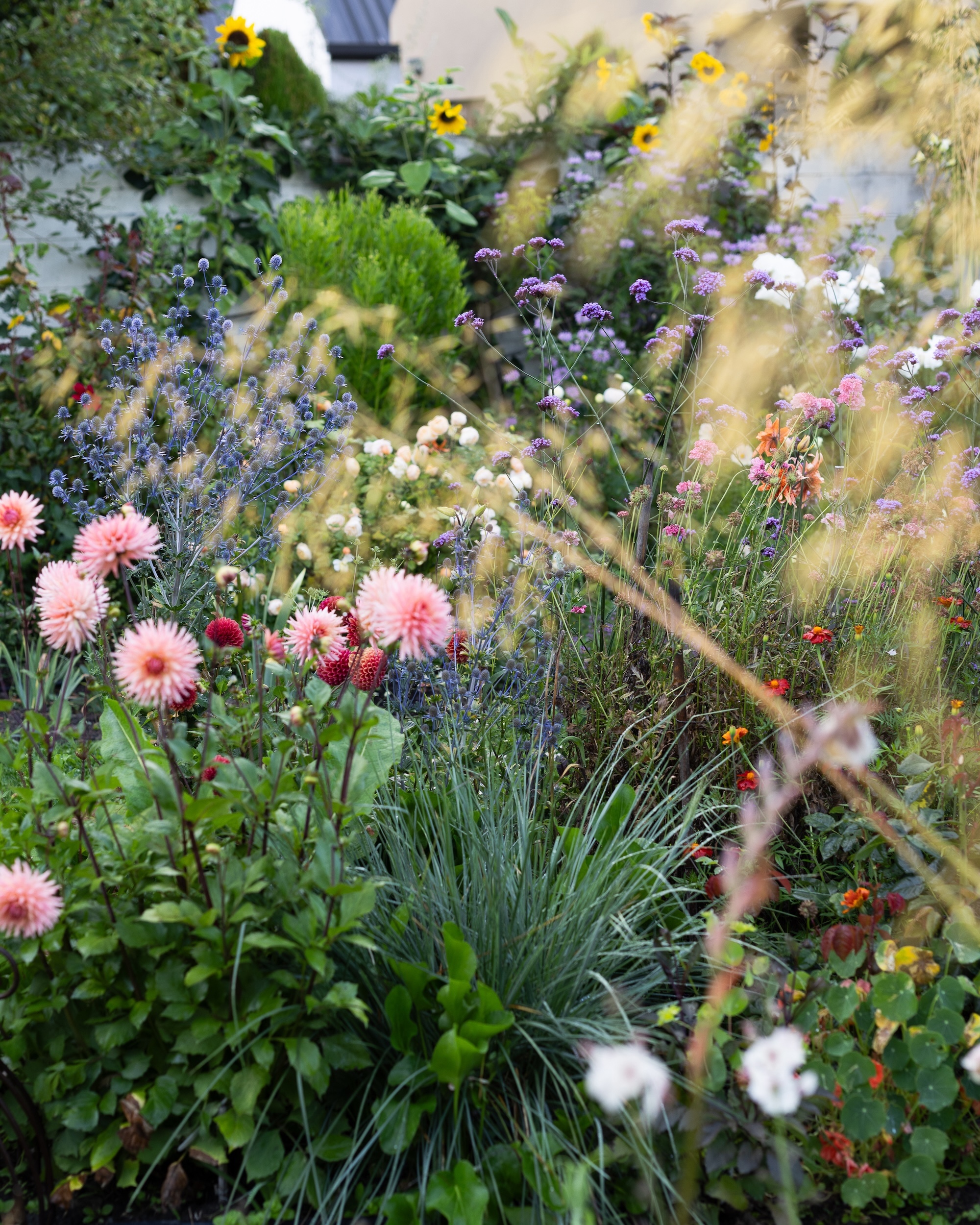 Copy of Garden 4