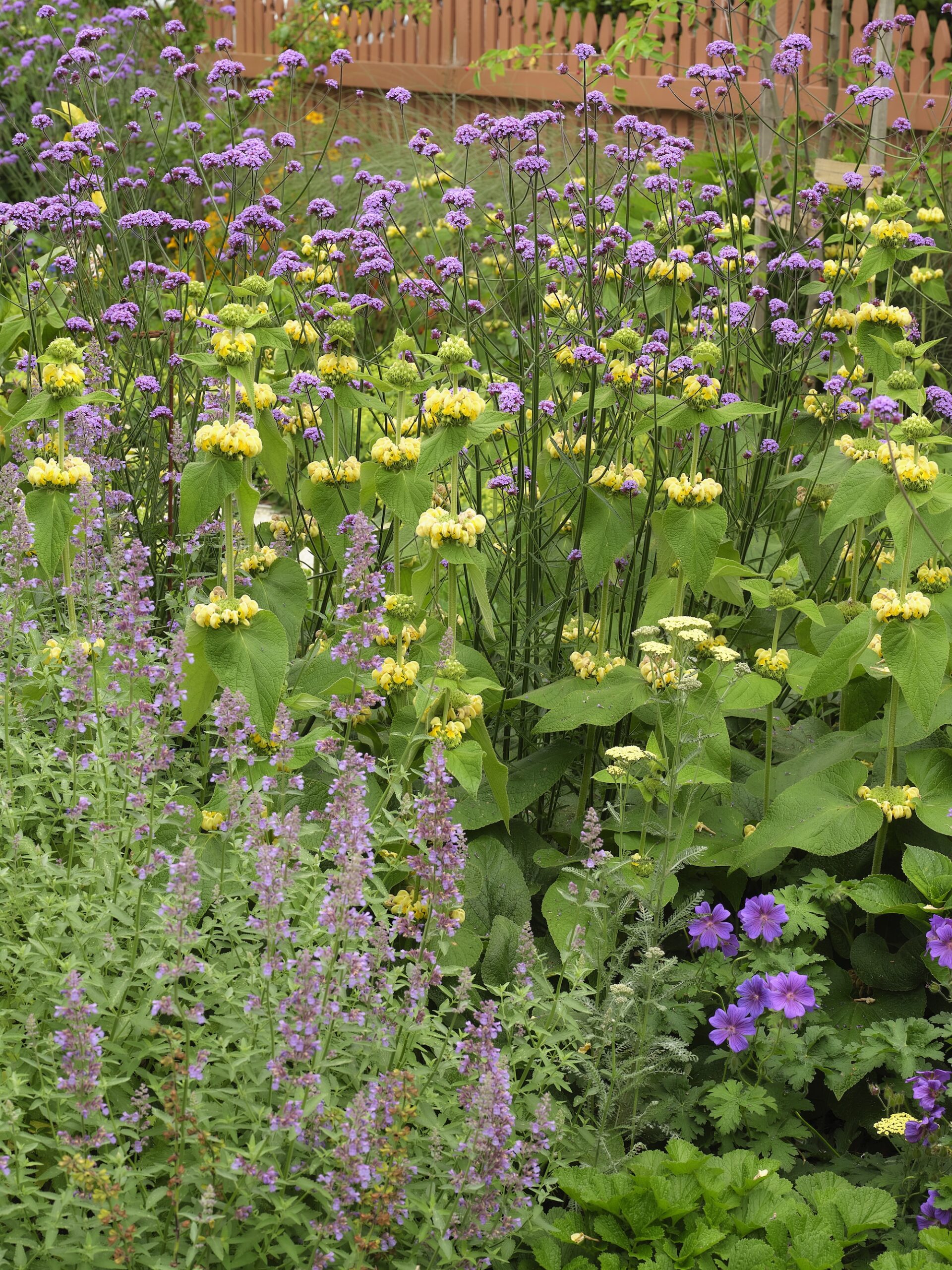 A garden made for movement | Xanthe White