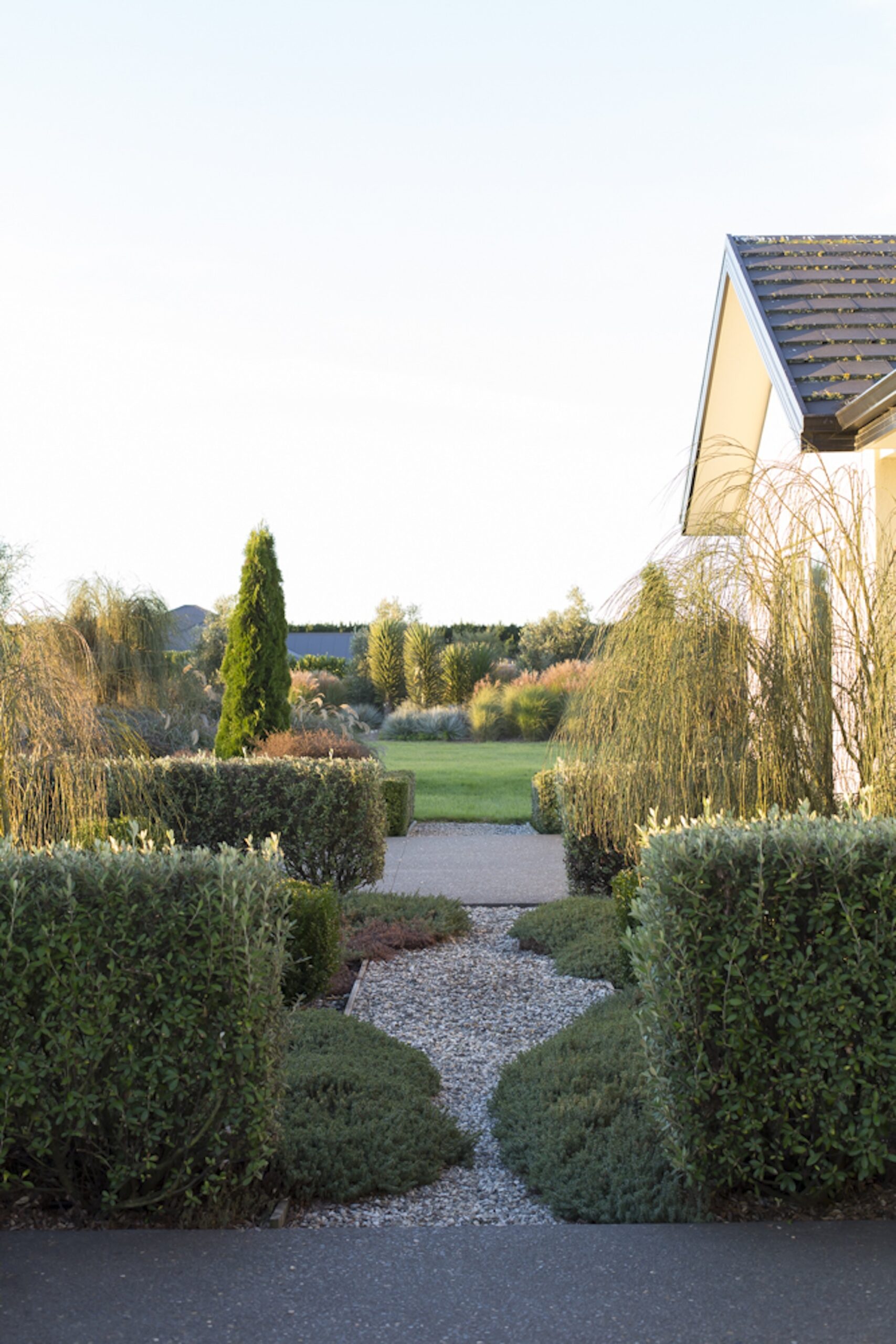 Layered hedges of
Corokia ‘Geenty’s Green’ with Pimelea prostrata (New Zealand daphne)
spilling onto the pathways. 