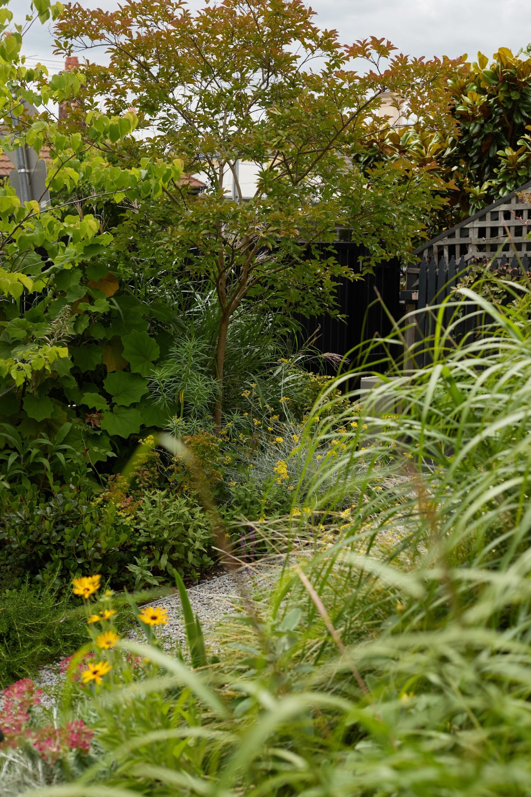 - Jala landscape architecture & design x