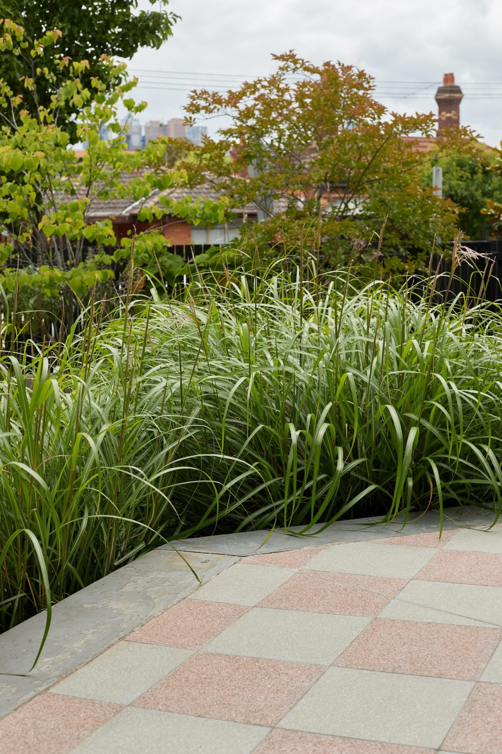 - Jala landscape architecture & design x