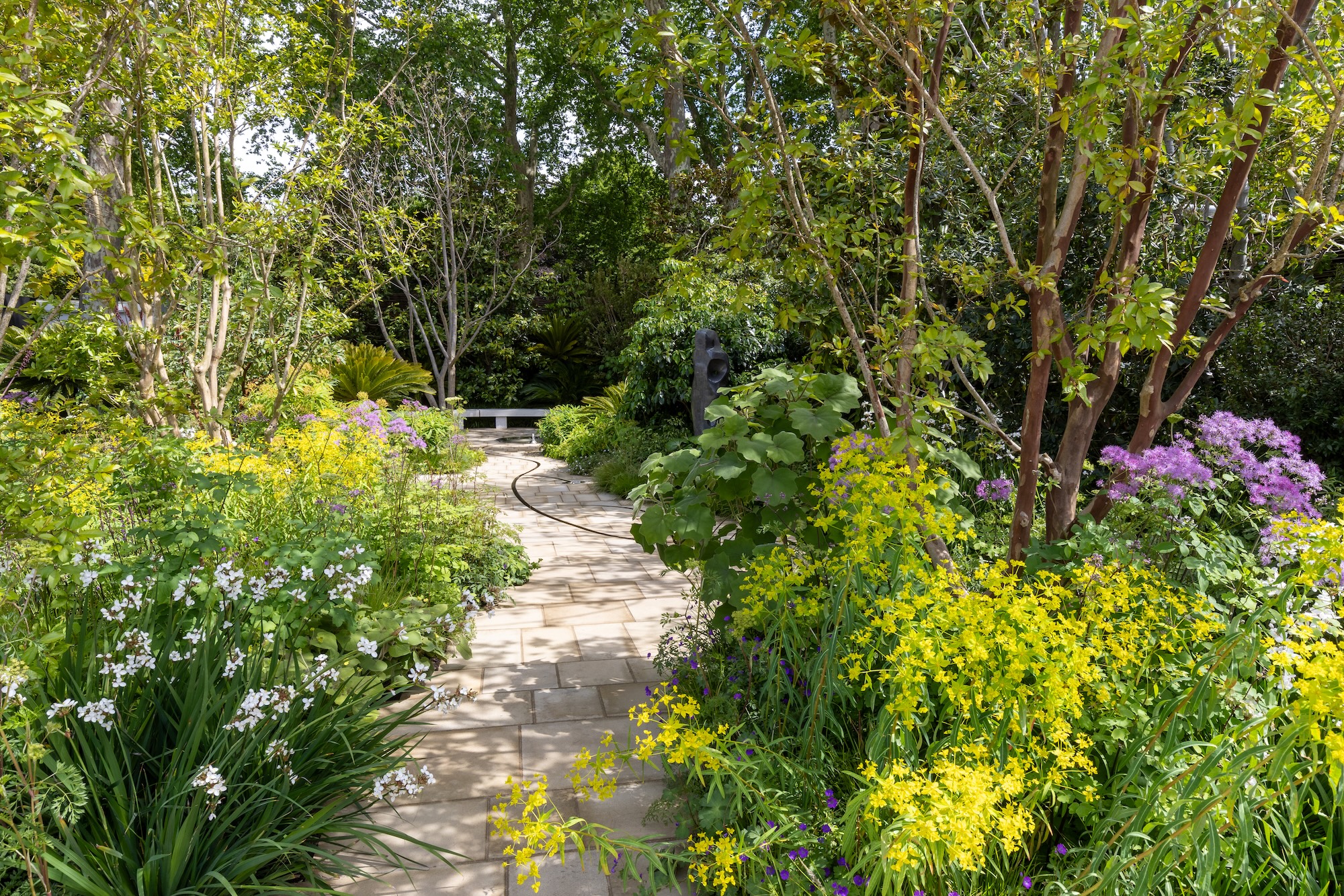 Stone pathway through colourful borders in RHS CFS The Tate Britain Garden.