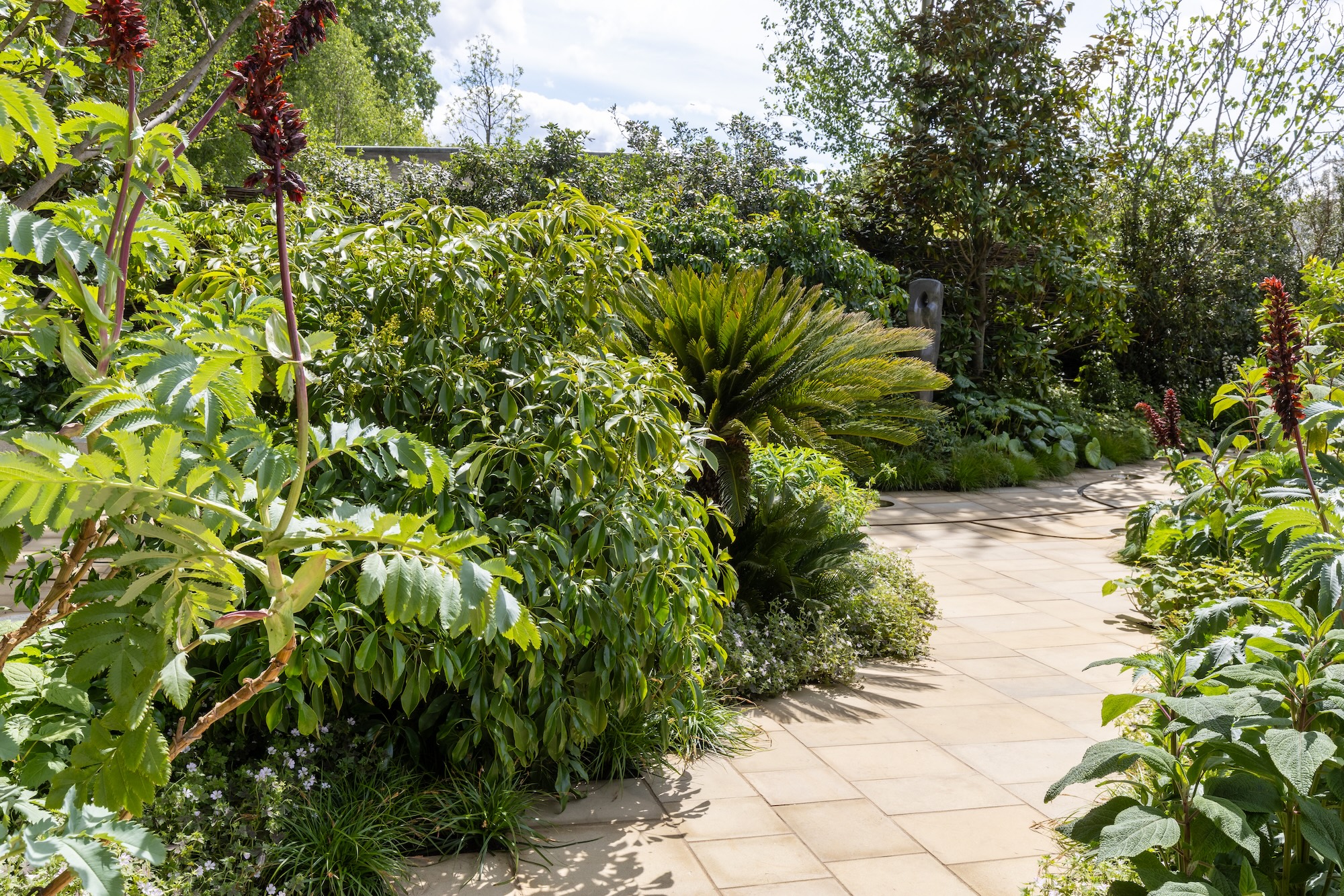 Planting and Garden Path Lush planting surrounding a modern garden path in RHS CFS The Tate Britain Garden.