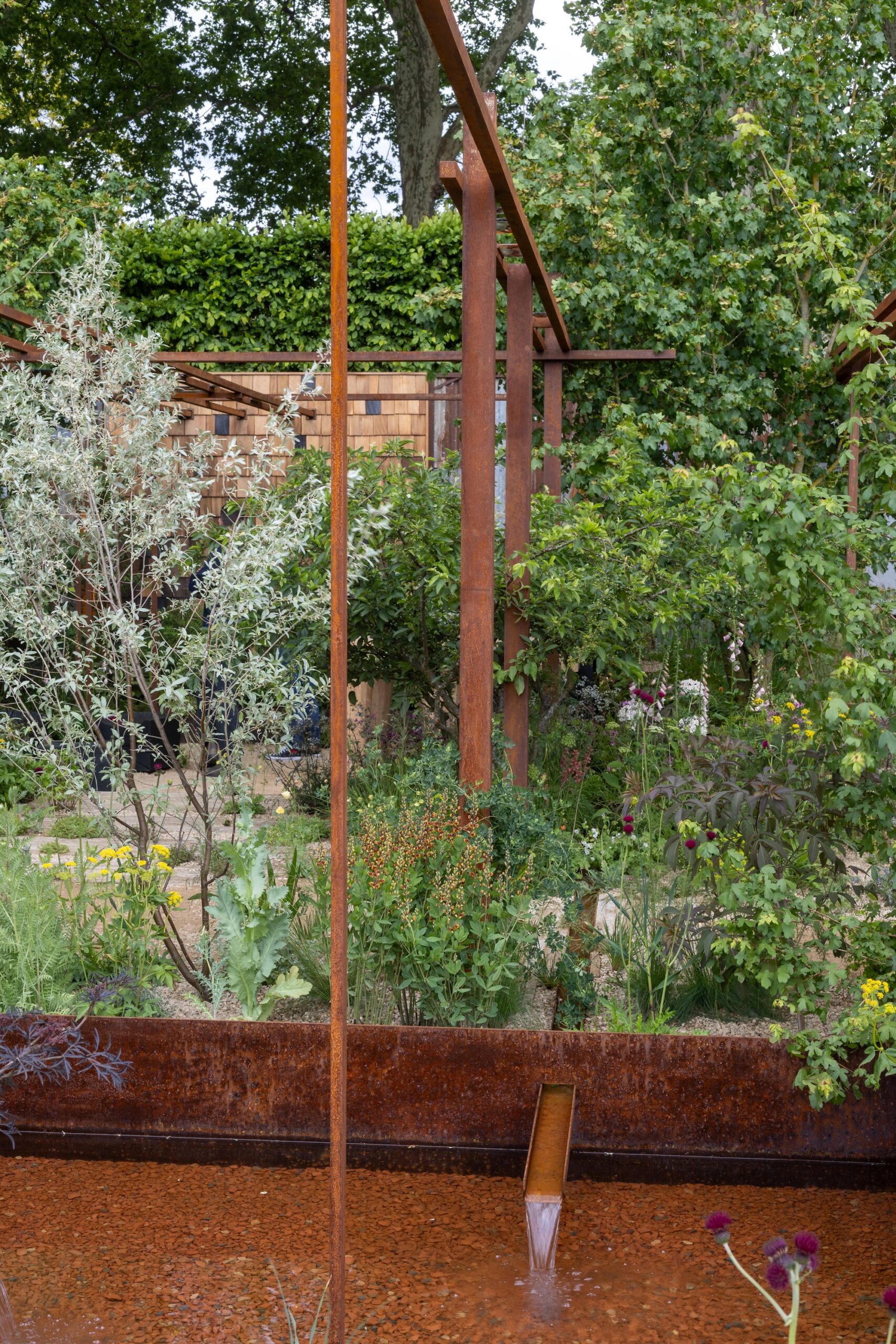 Garden View - The Children’s Society Garden Water feature with background of layered shrubs and trees in RHS CFS The Children's Society Garden.