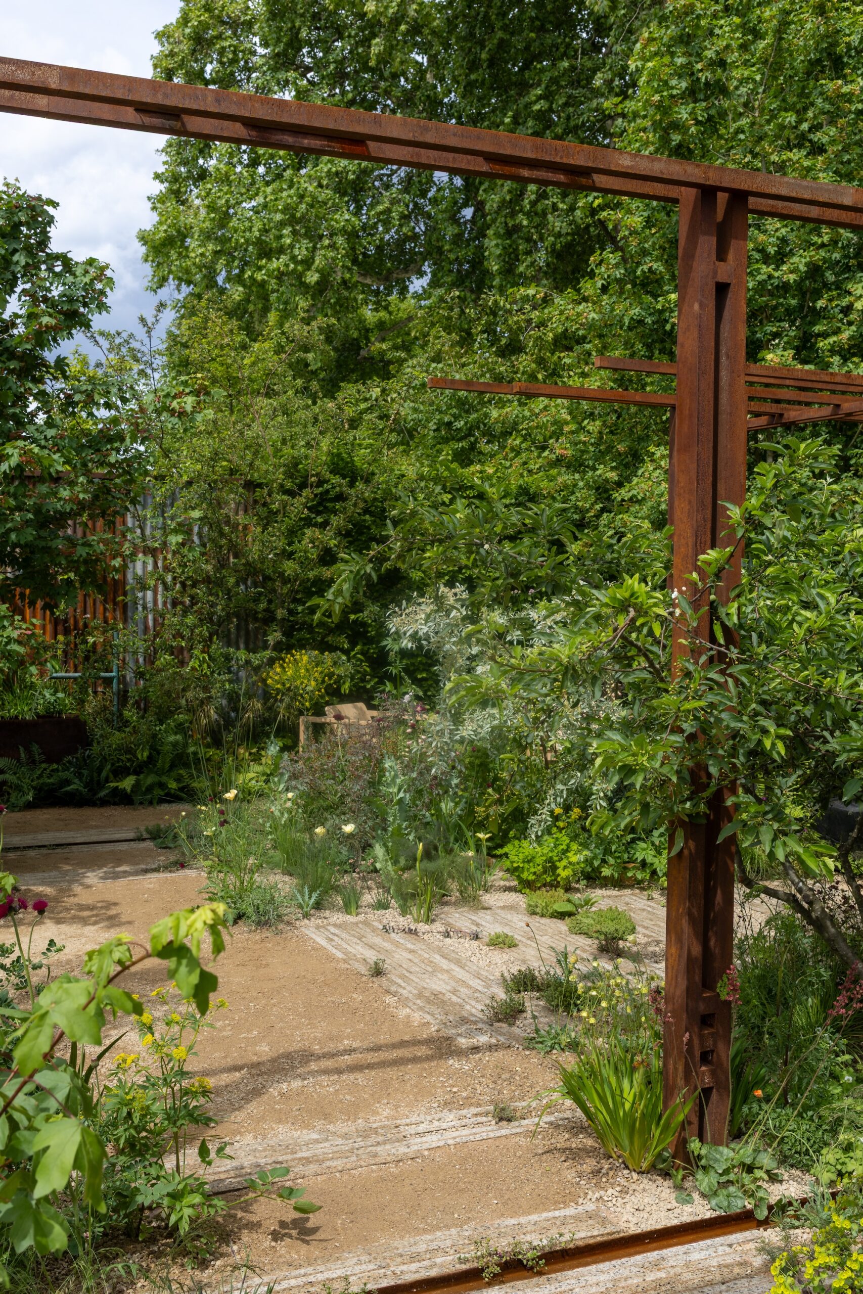 Garden Path - The Children’s Society Garden Garden path and layered planting in RHS CFS The Children's Society Garden.