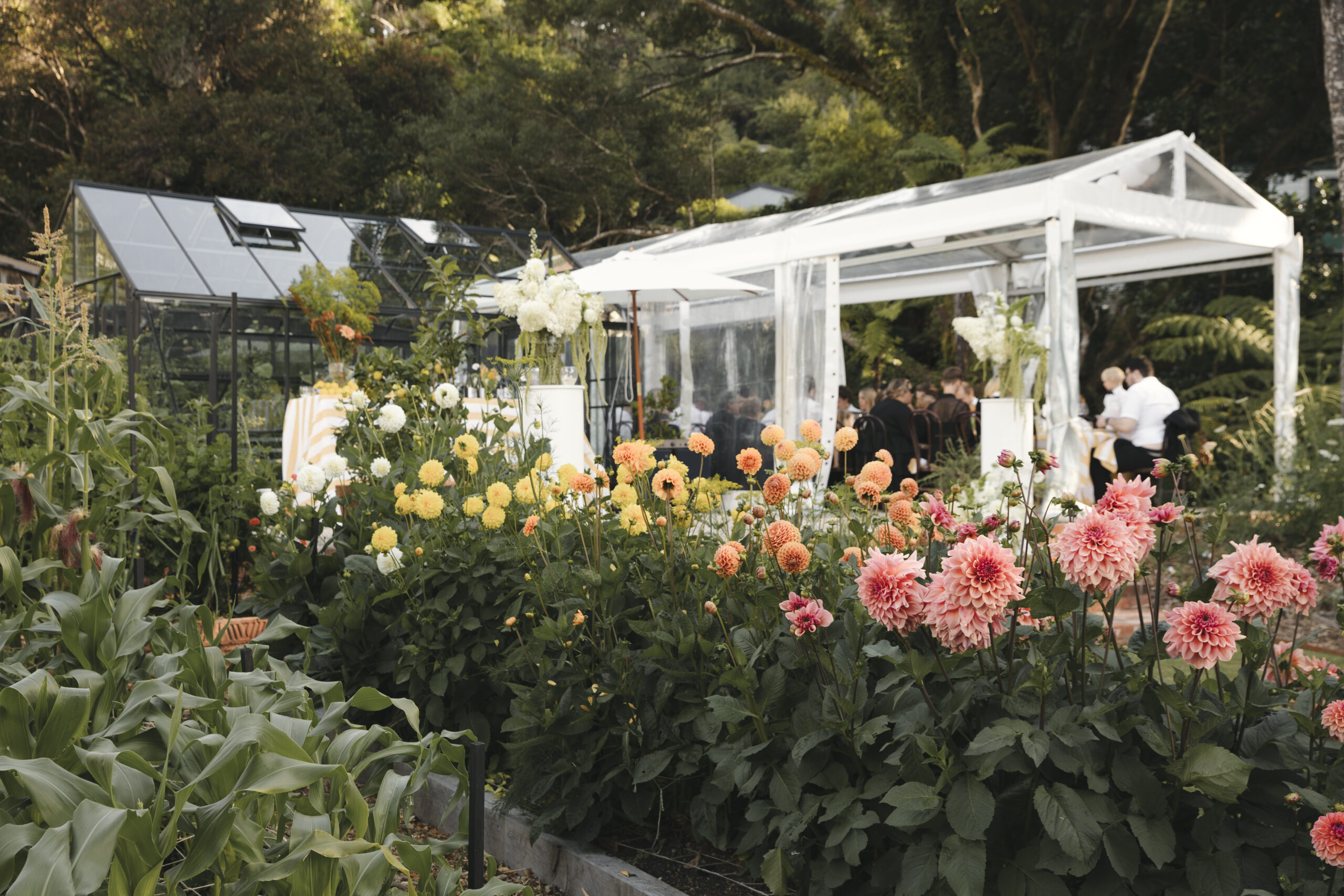 Lucy and Jacob's garden wedding in Lower Hutt - Sage Journal