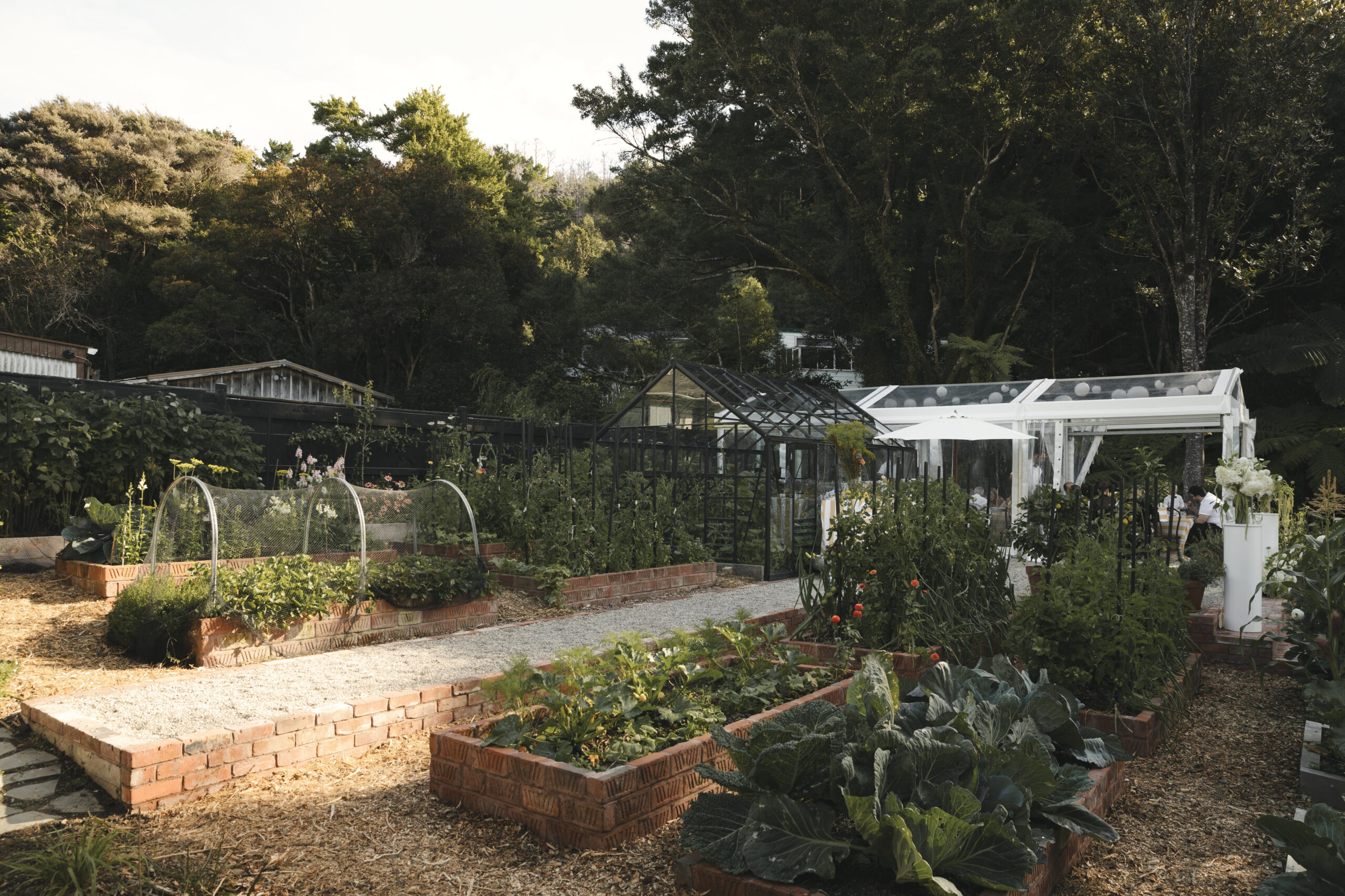 Vegetable garden featured in garden wedding in Wellington, New Zealand