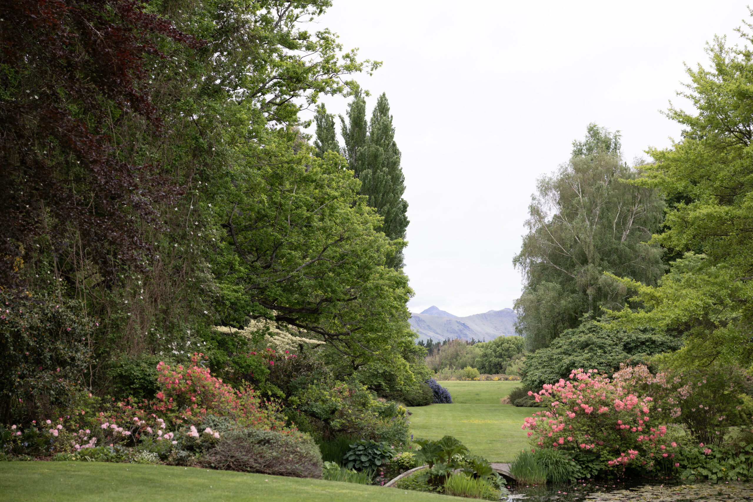 The vista at Flaxmere, across the garden and up to the magnificent mountain range.