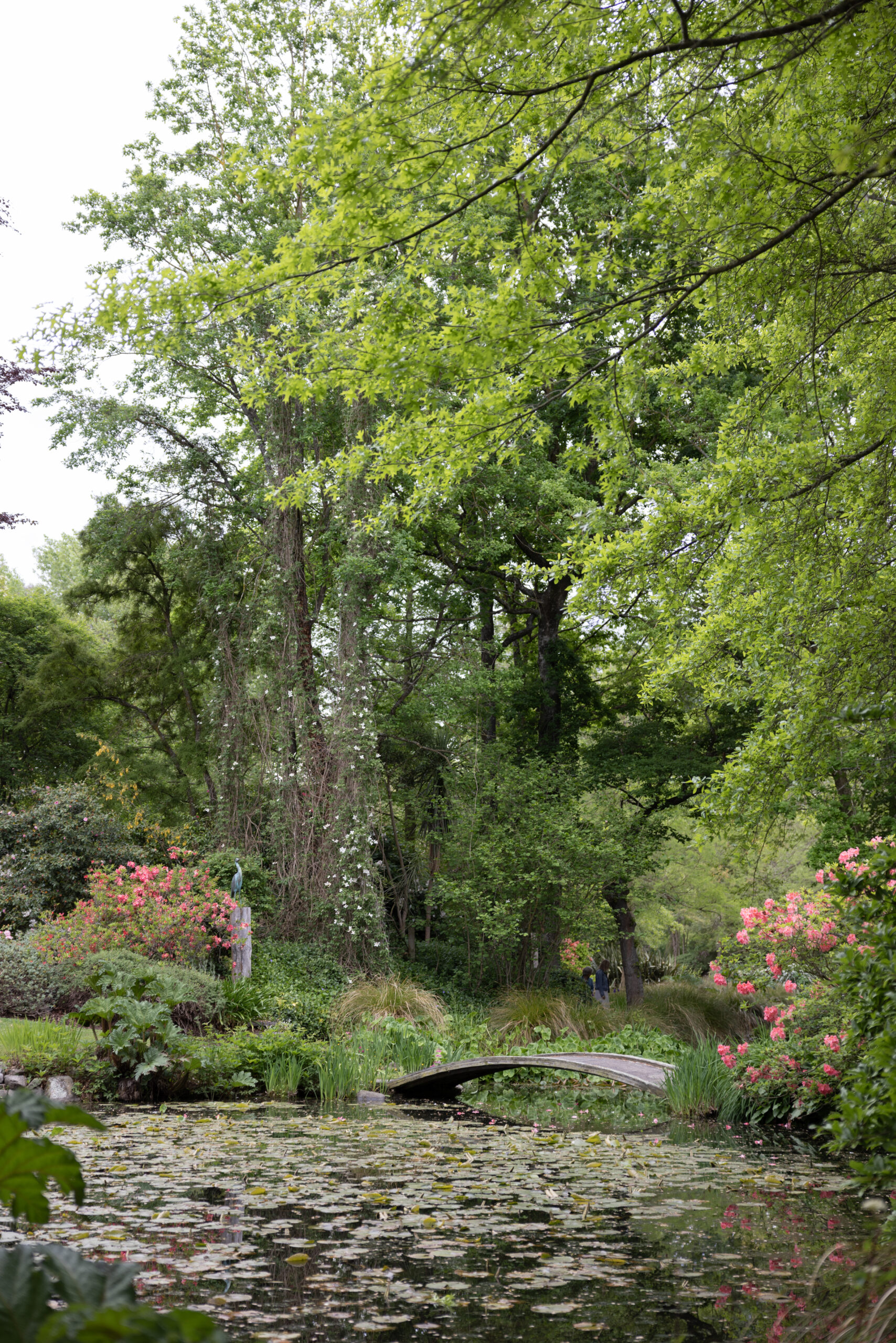 Flaxmere Garden grounds in spring Flaxmere Garden, Hurunui Garden Festival.