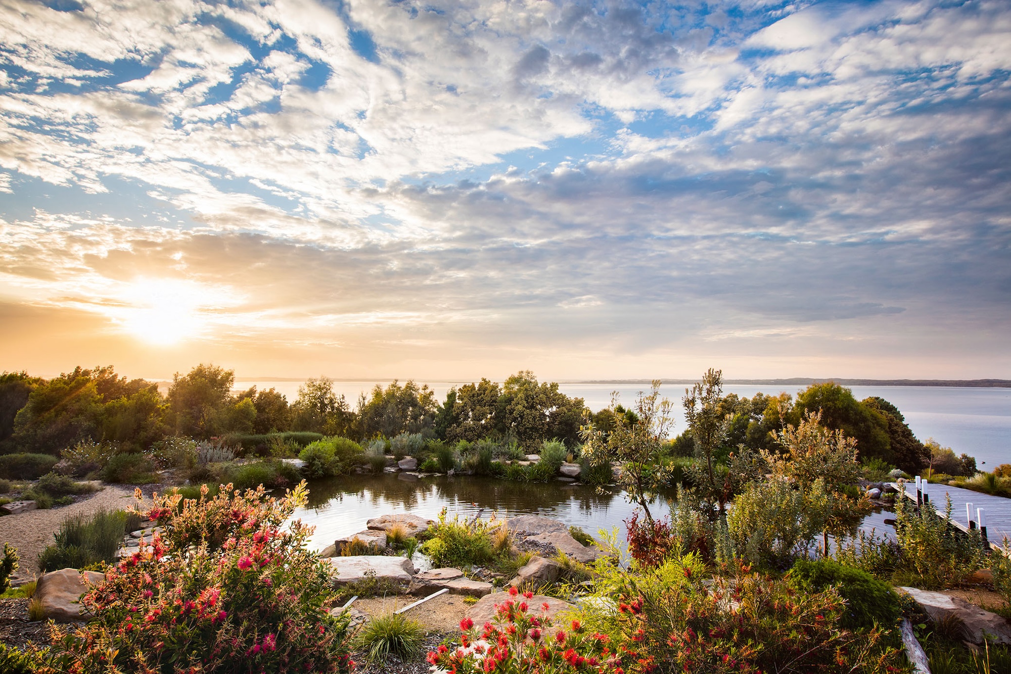 Coastal Garden in Inverloch - Victoria Australia