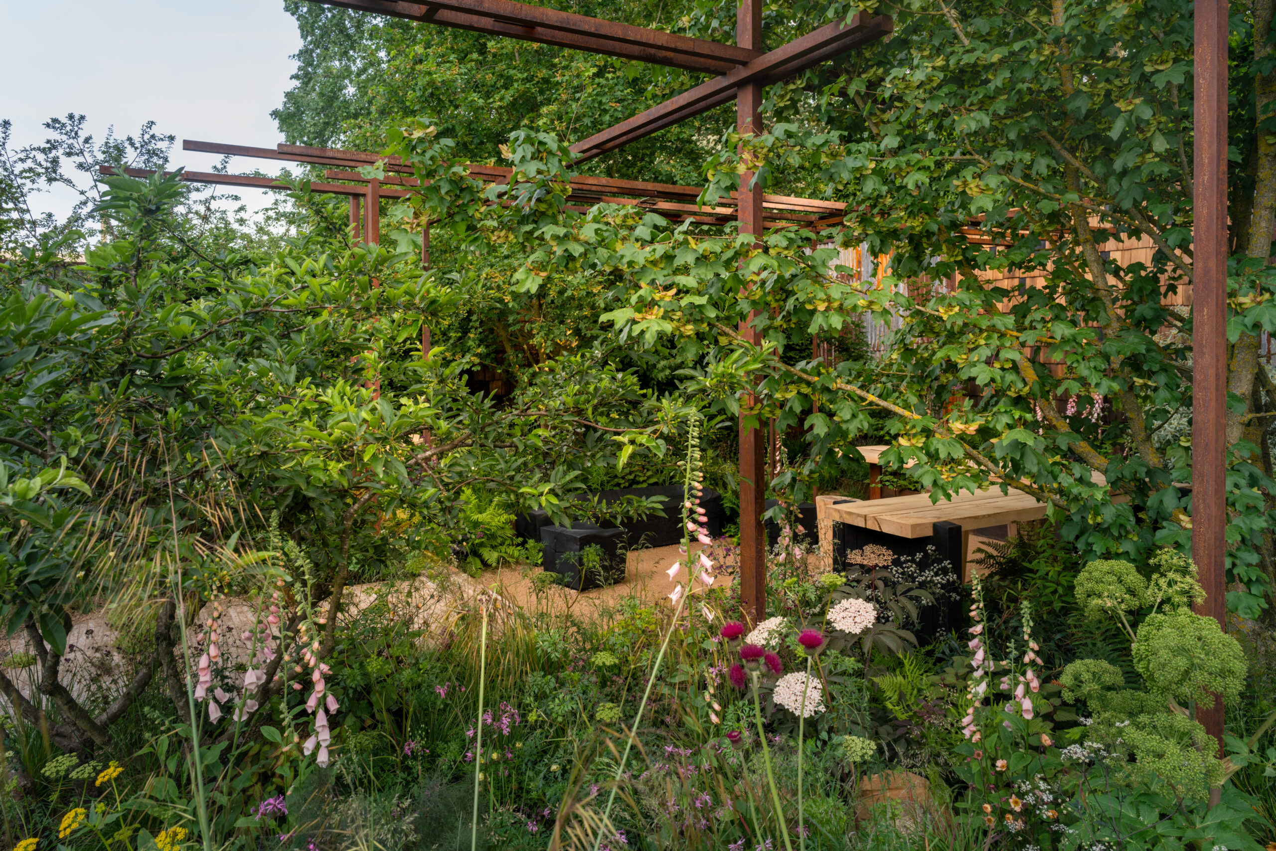 Layered shrubs and small trees creating a tranquil landscape in RHS CFS The Children's Society Garden.