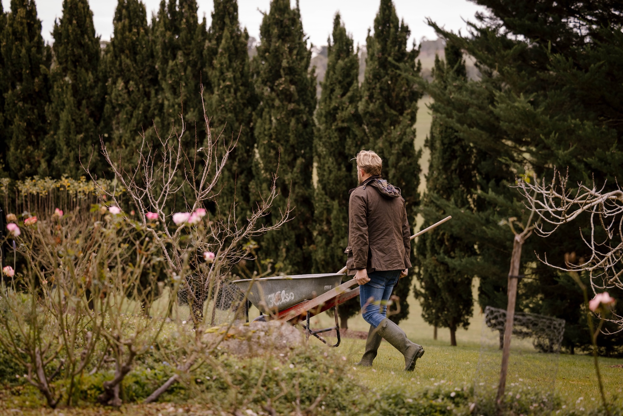 AshleyJamesGardens_Winter-160 (1)