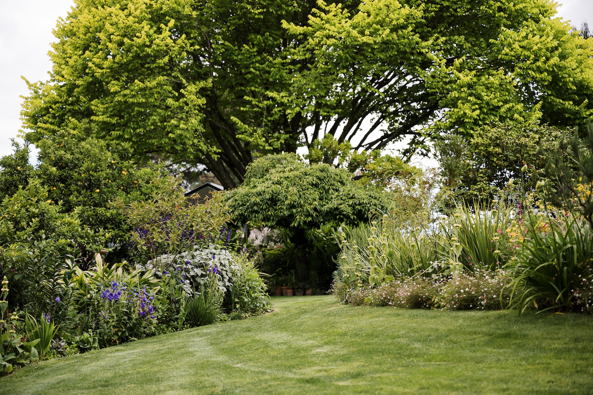 Seasonal planting in Carrie Cooke's garden