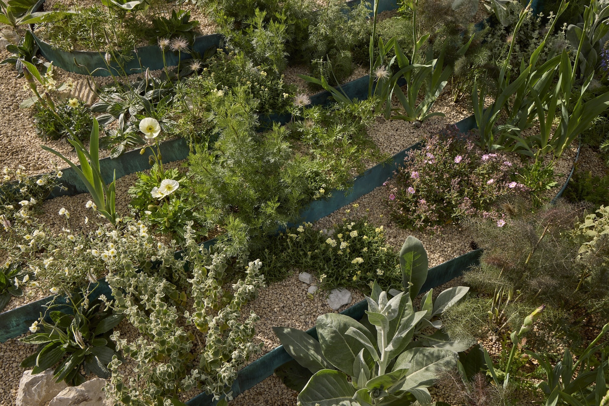 - Flourish in the City, 2026 RHS Chelsea Flower Show. z