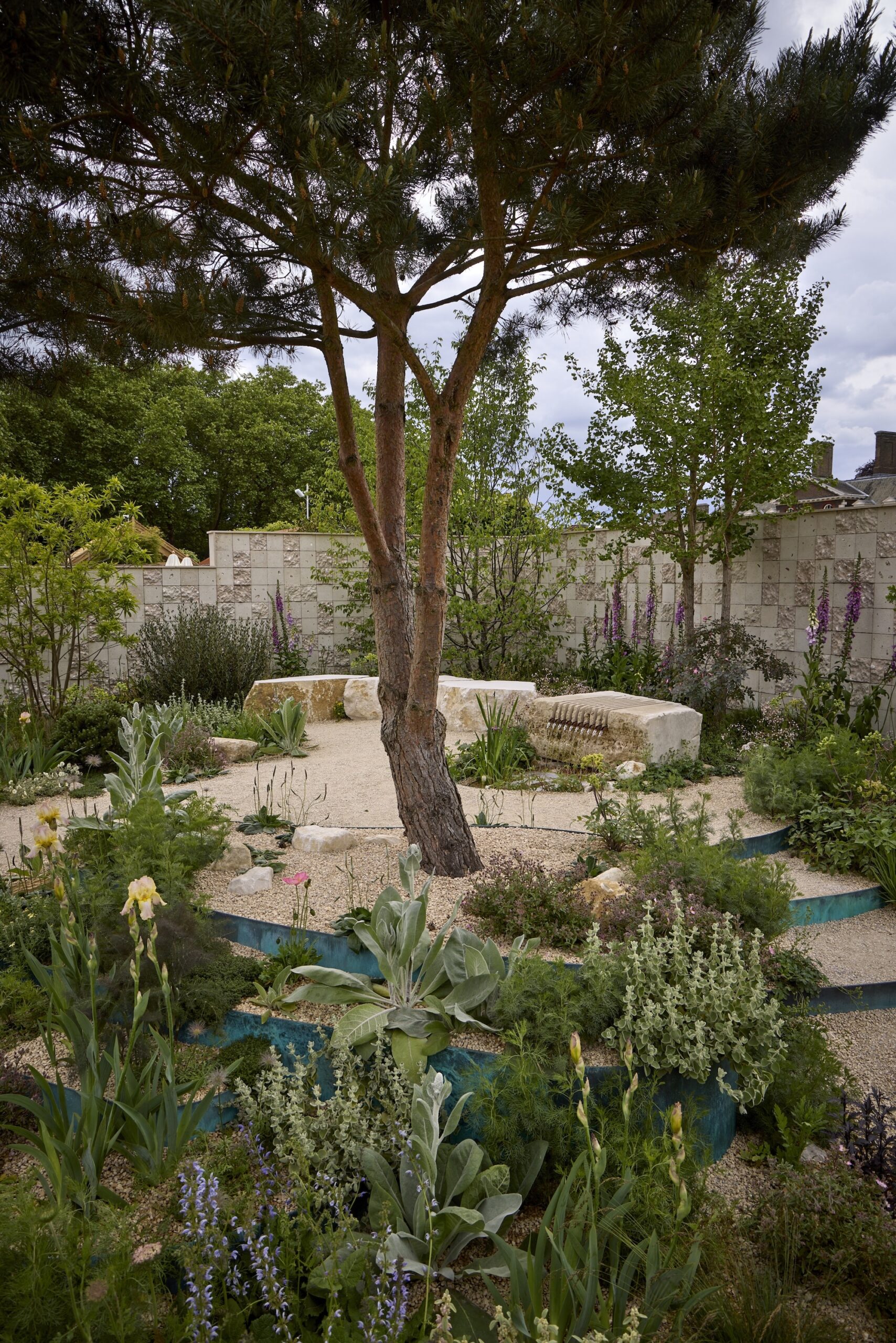 - Flourish in the City, 2026 RHS Chelsea Flower Show. z