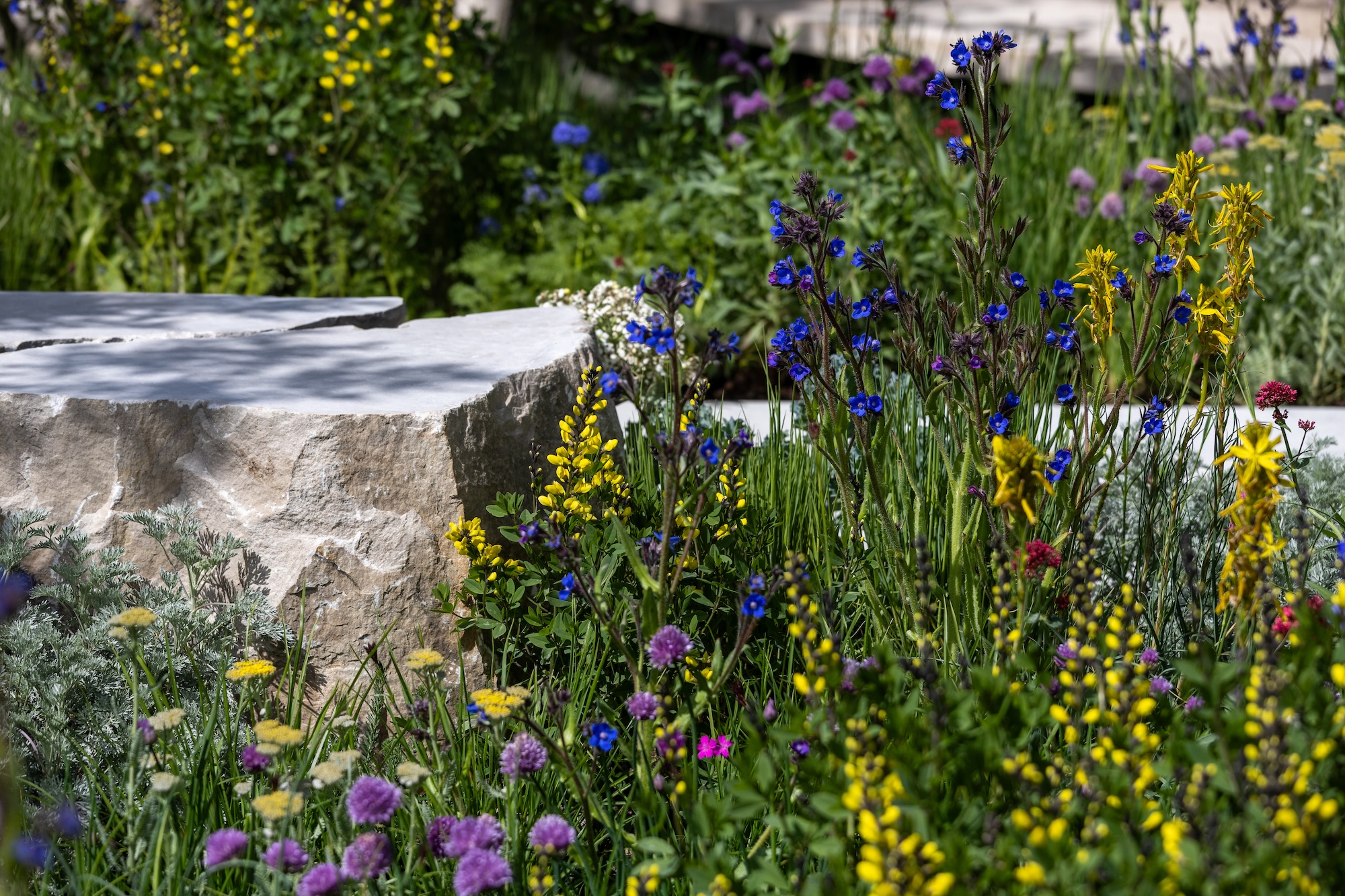 The Eden Project: Bring Me Sunshine Garden xx