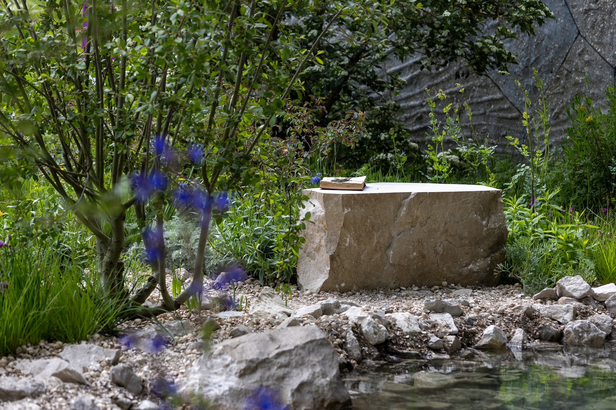 The Eden Project: Bring Me Sunshine Garden xx