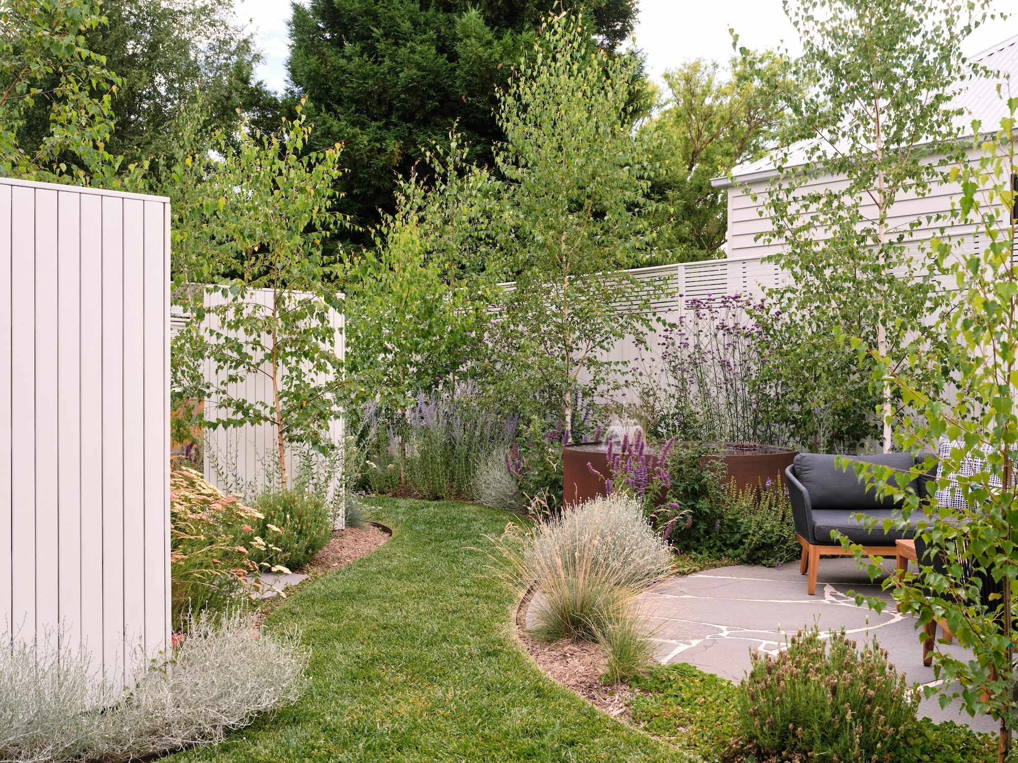 Curved lawn, ornamental grasses and modern fencing in a Melbourne garden by Timeless Outdoors
