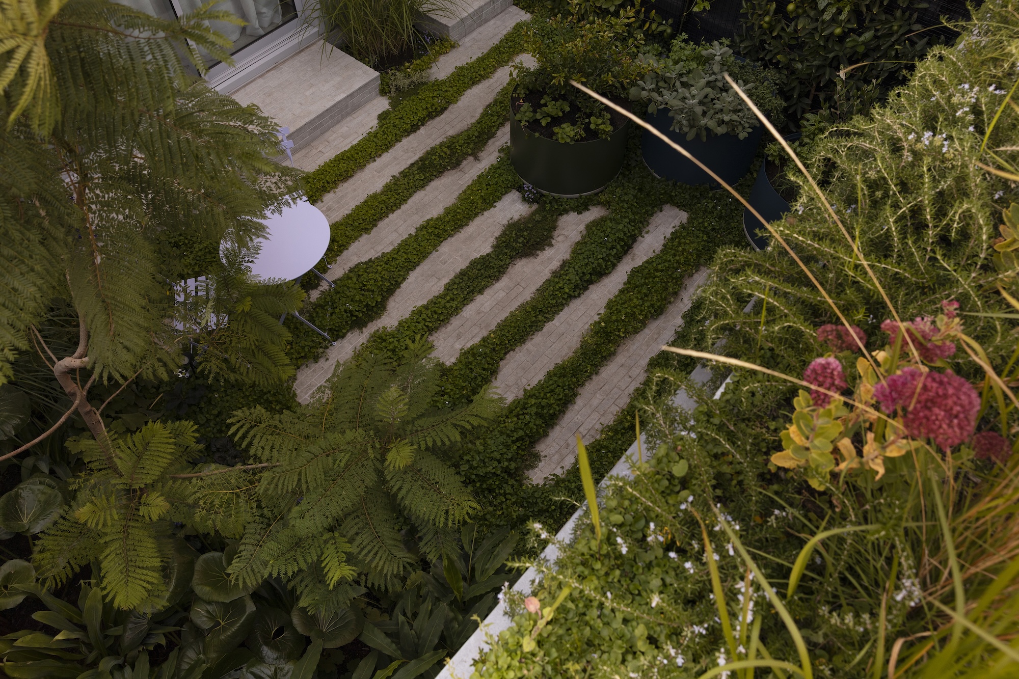 - Saint Remy landscape design x