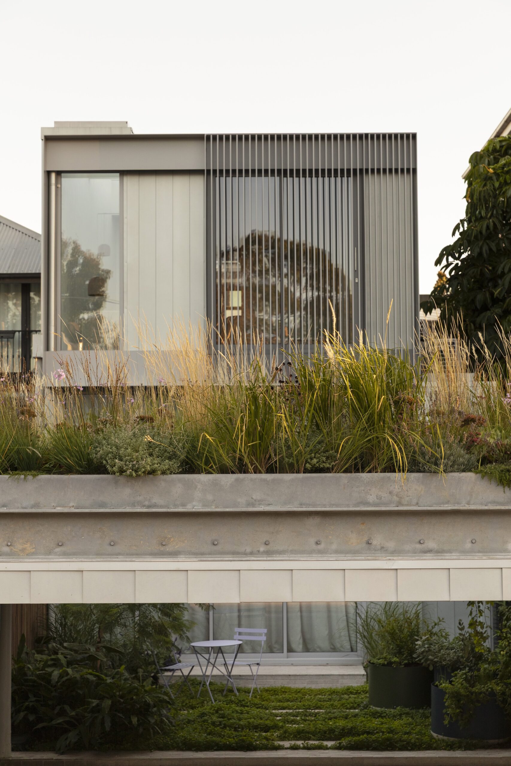 - Saint Remy landscape design x