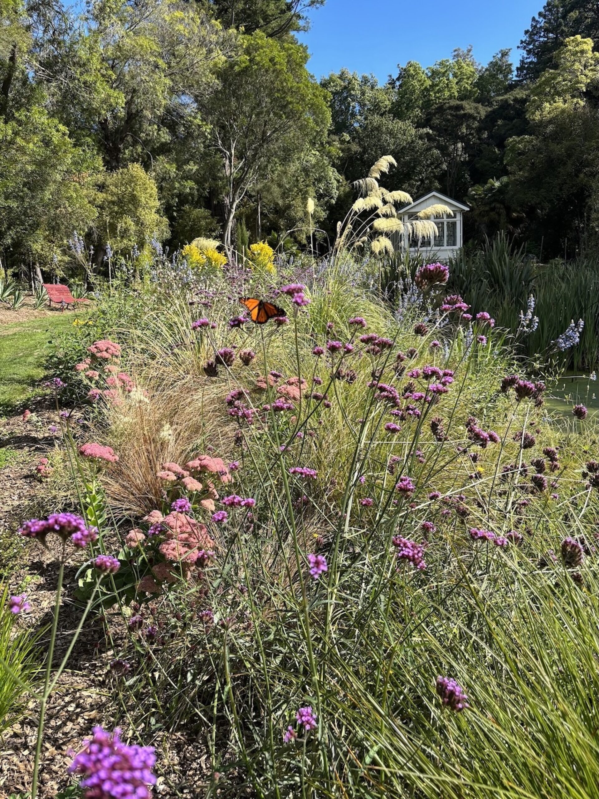 Bright flower garden planted to attract butterflies in Martinborough